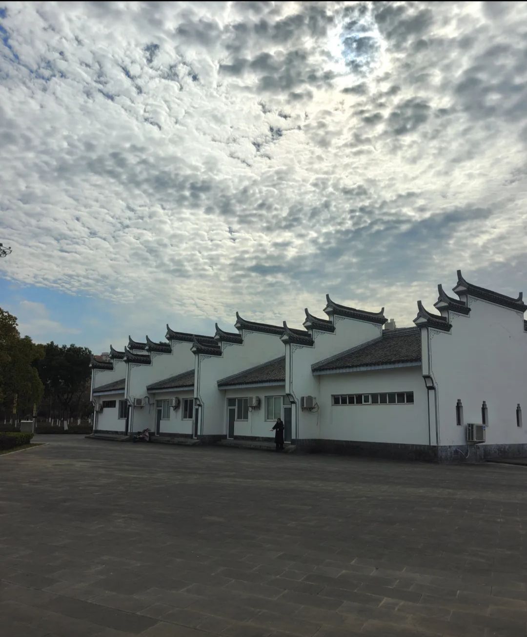 歌山画水公园旅行图片 3