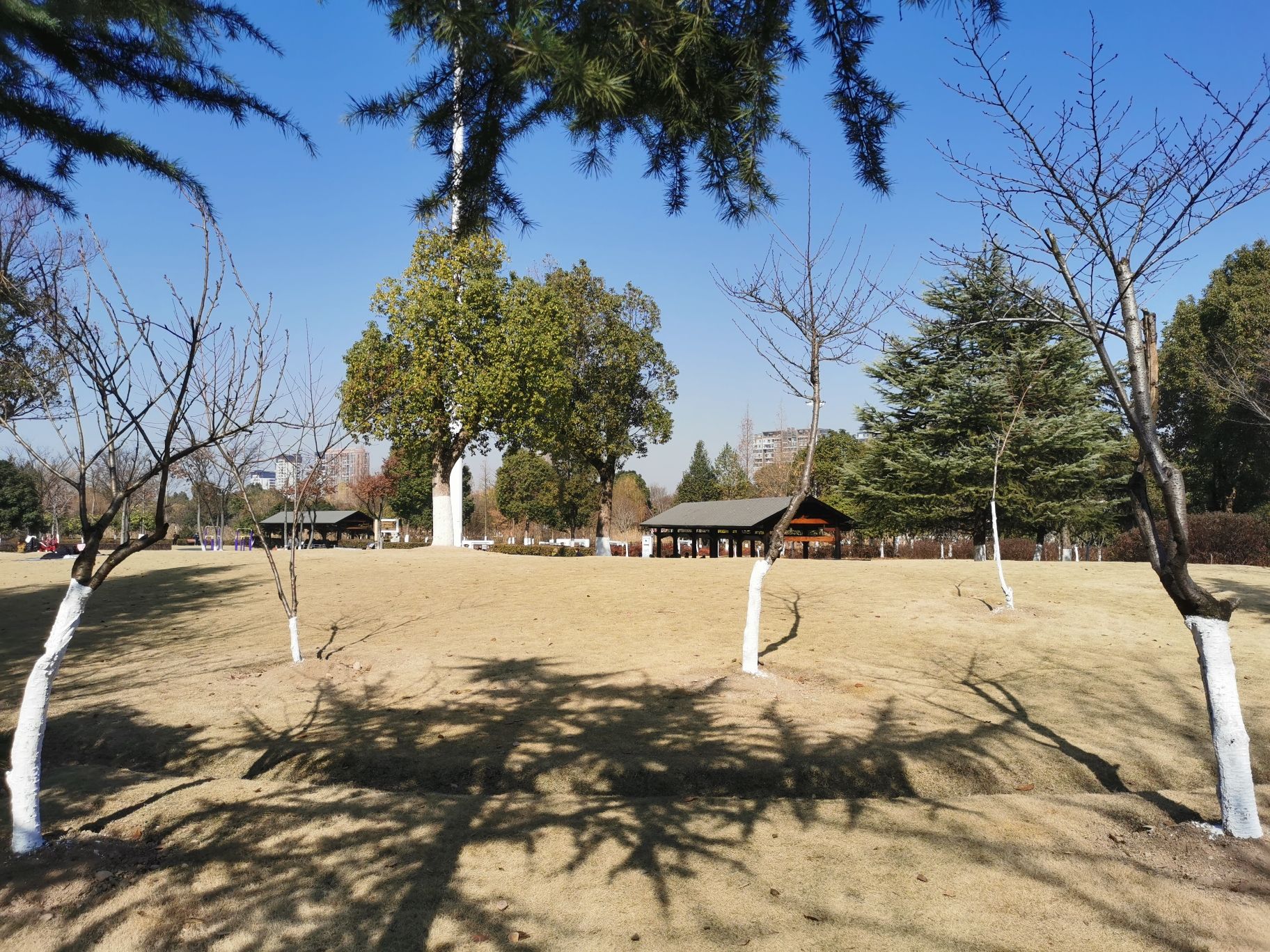歌山画水公园旅行图片 1