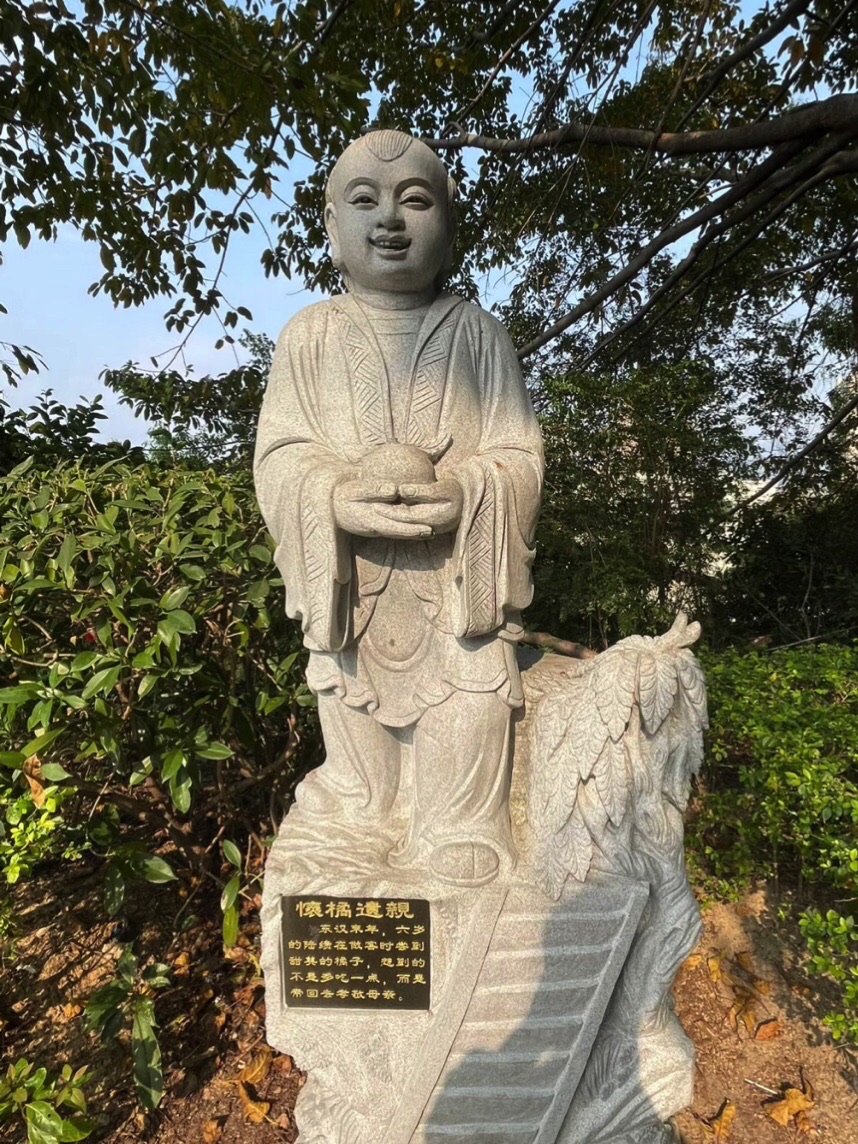 中华龙旅行图片 3