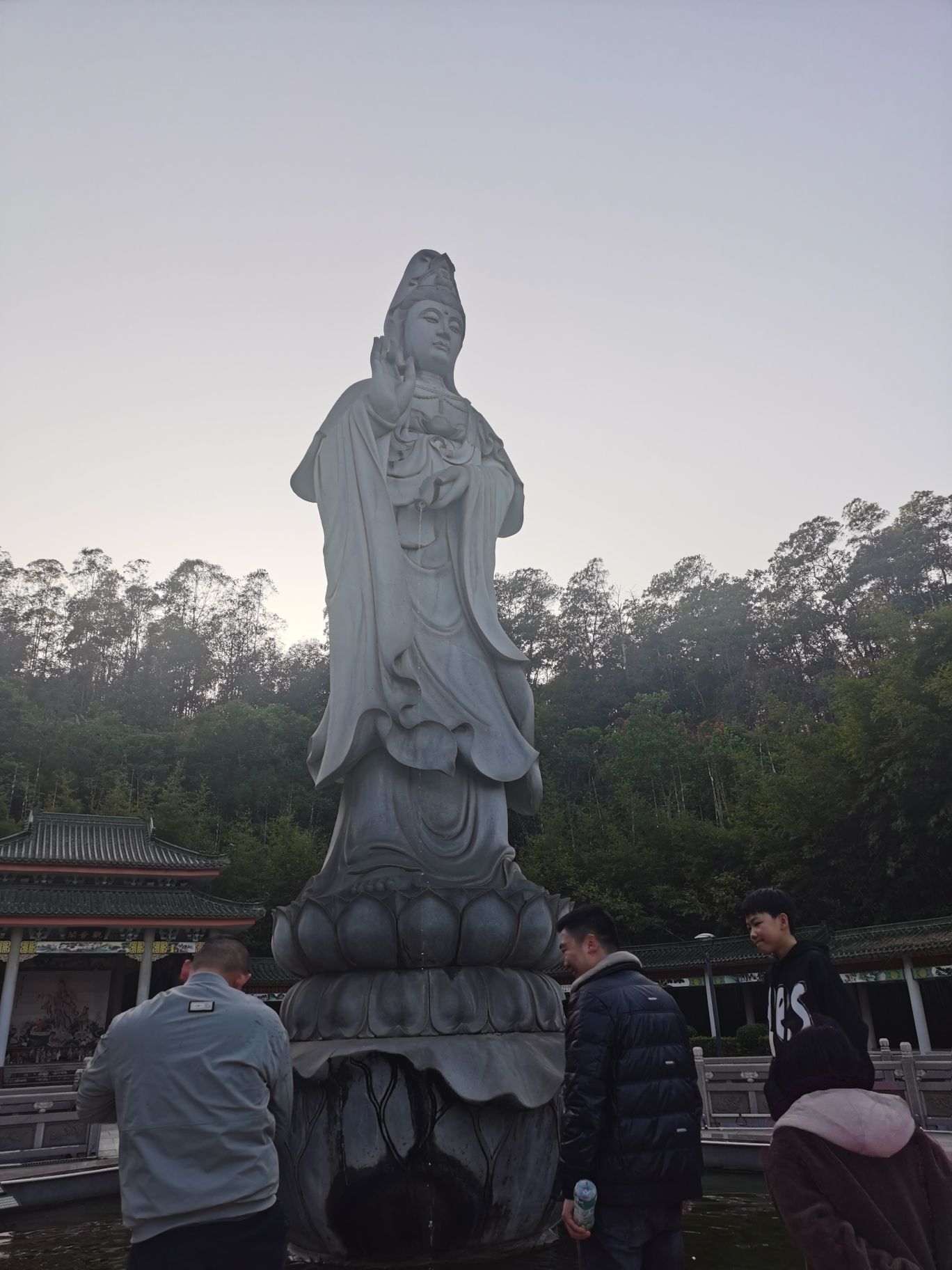 中华龙旅行图片 1