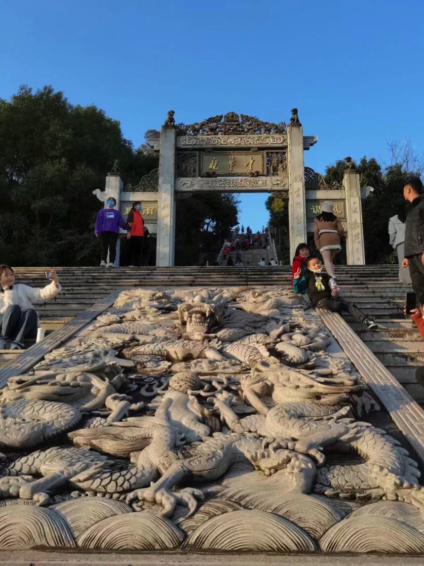 中华龙旅行图片 1