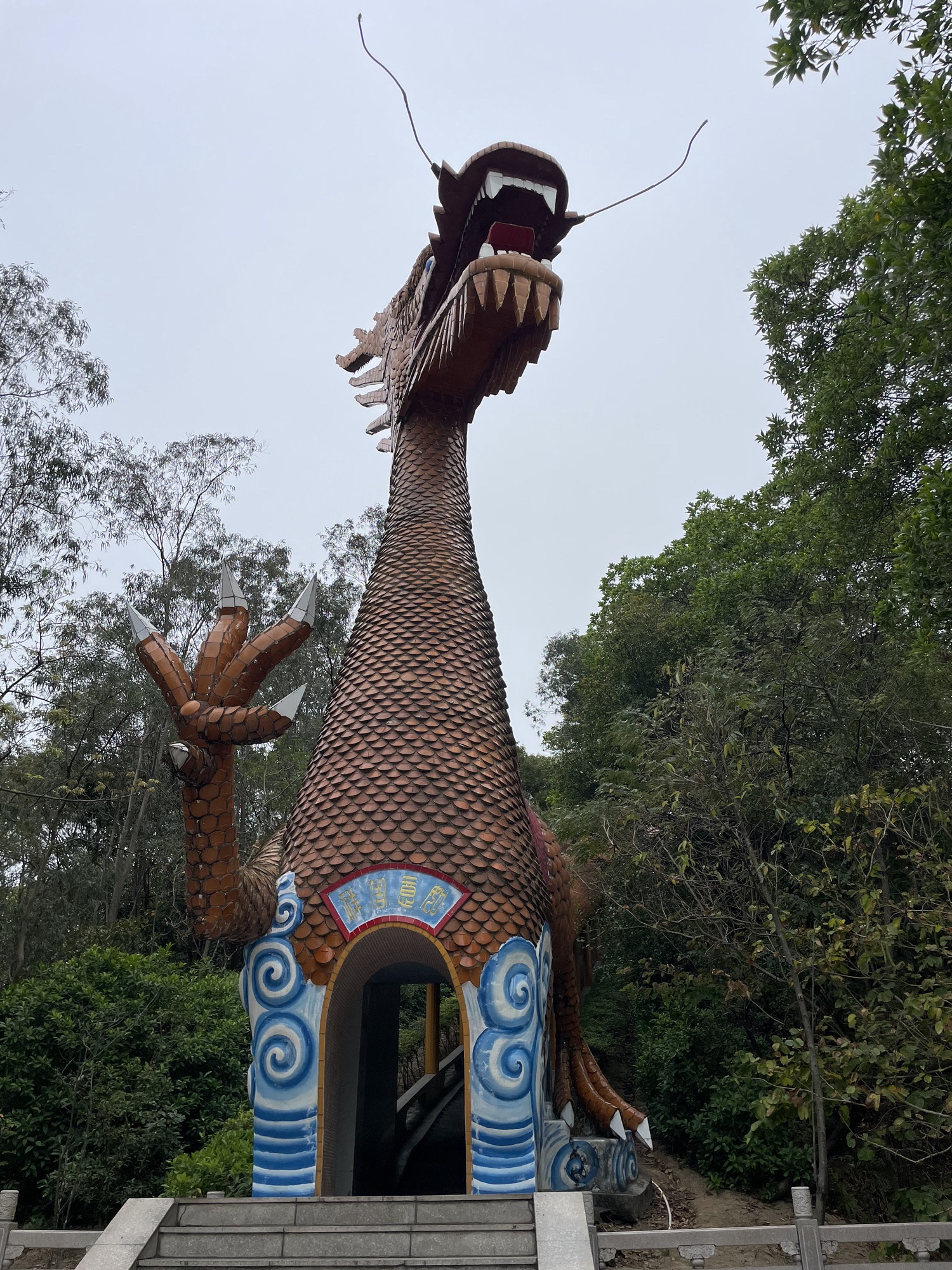 中华龙旅行图片 1