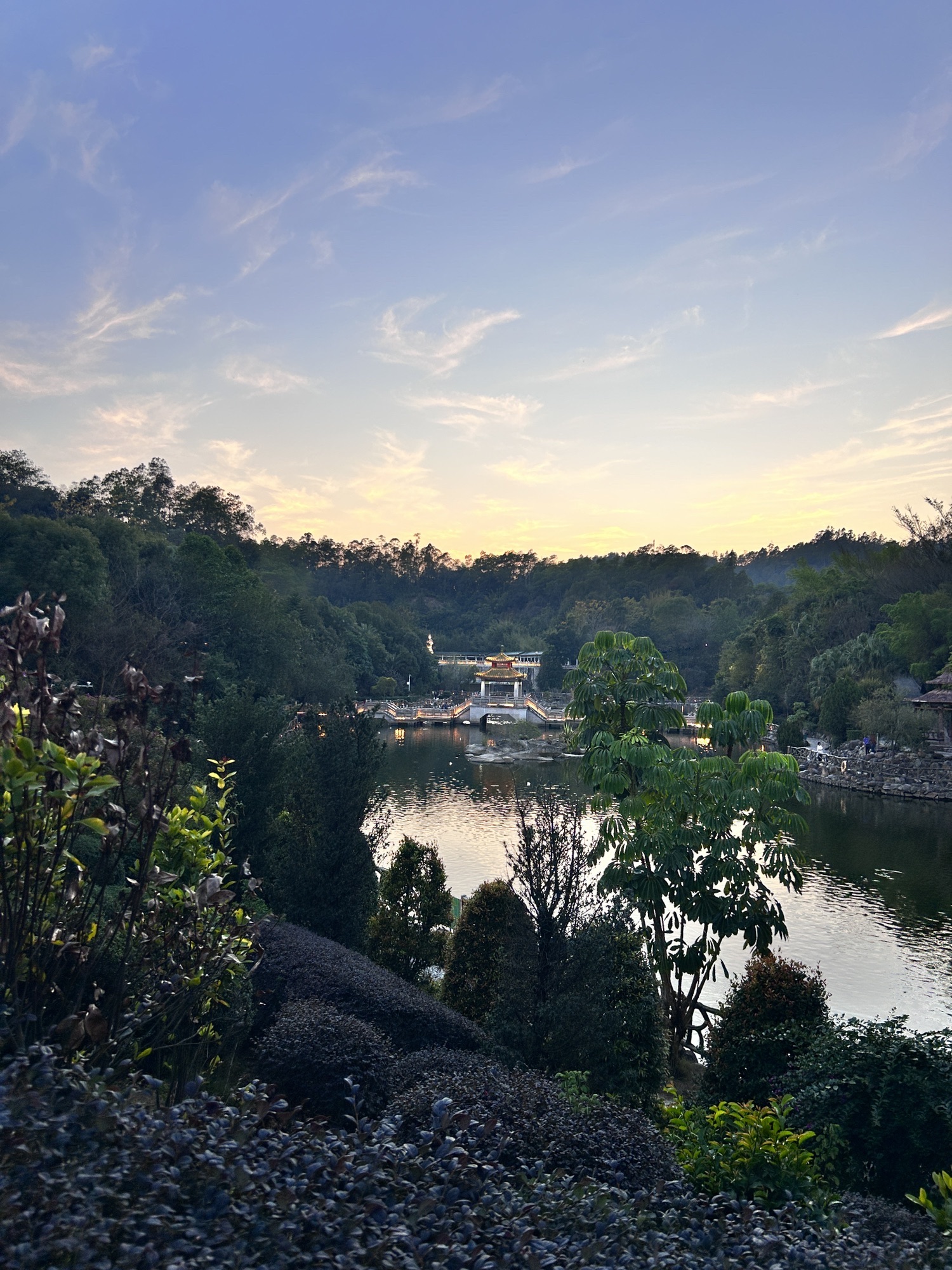 中华龙旅行图片 3
