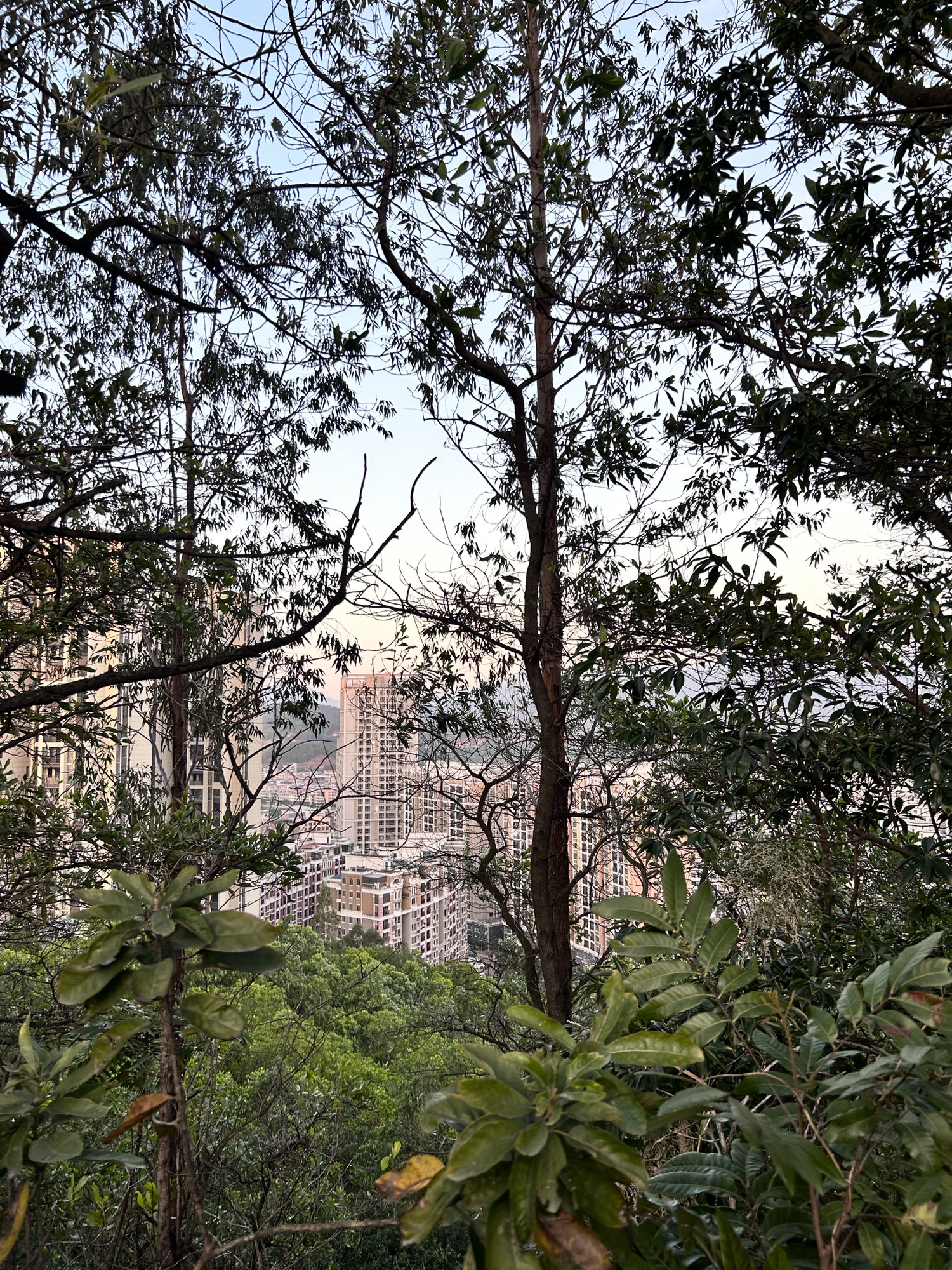 中华龙旅行图片 2