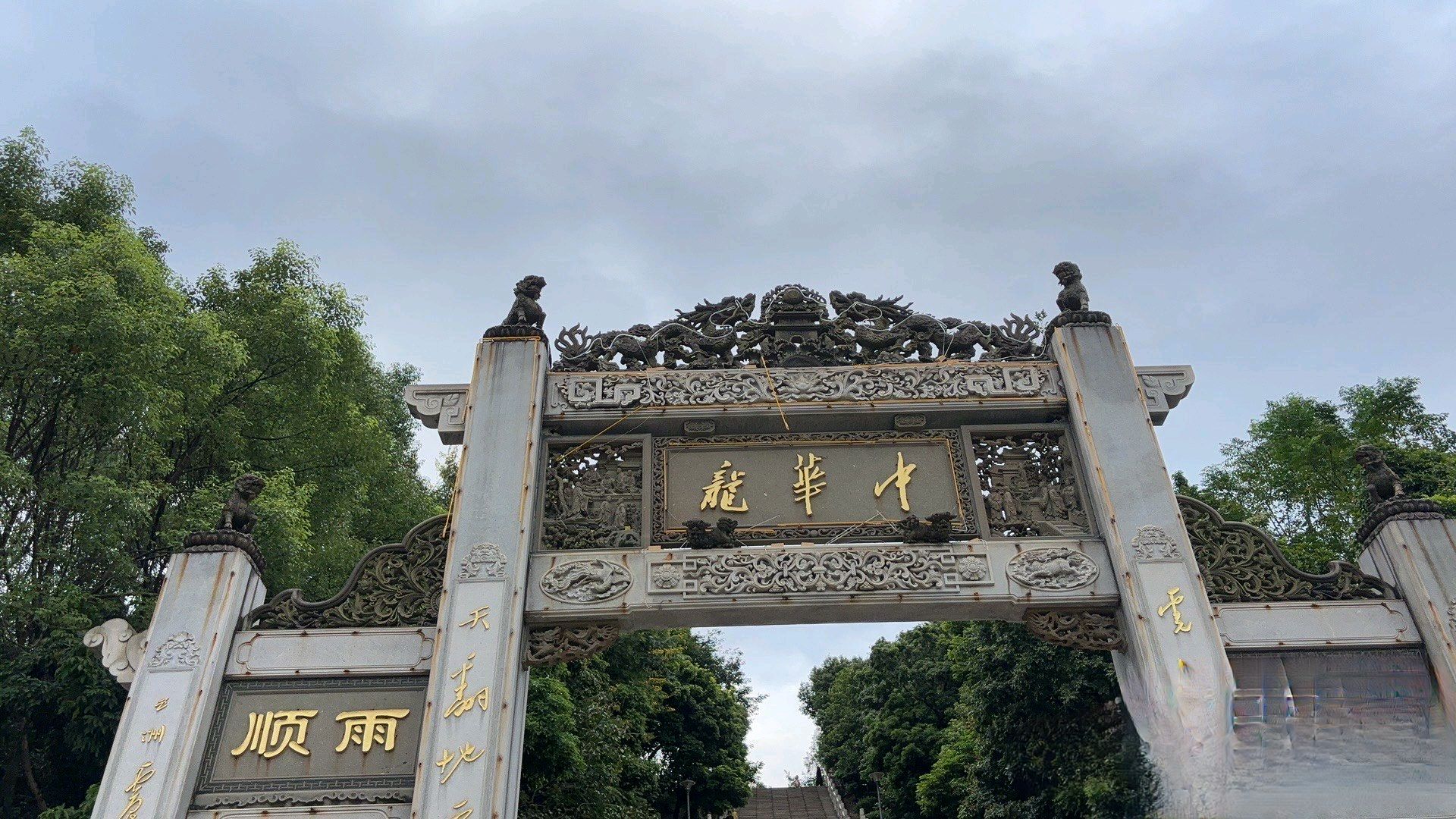 中华龙旅行图片 1