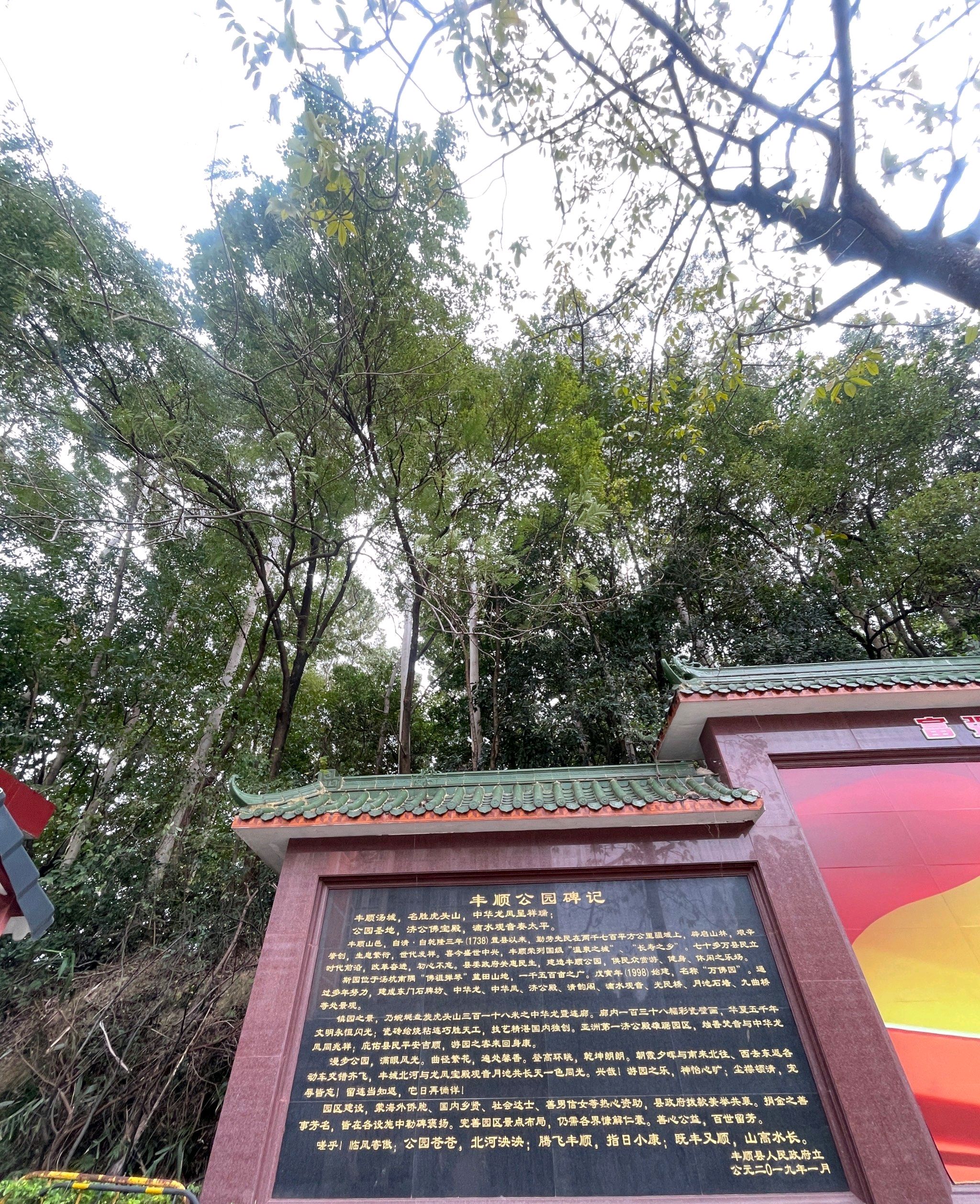 中华龙旅行图片 3
