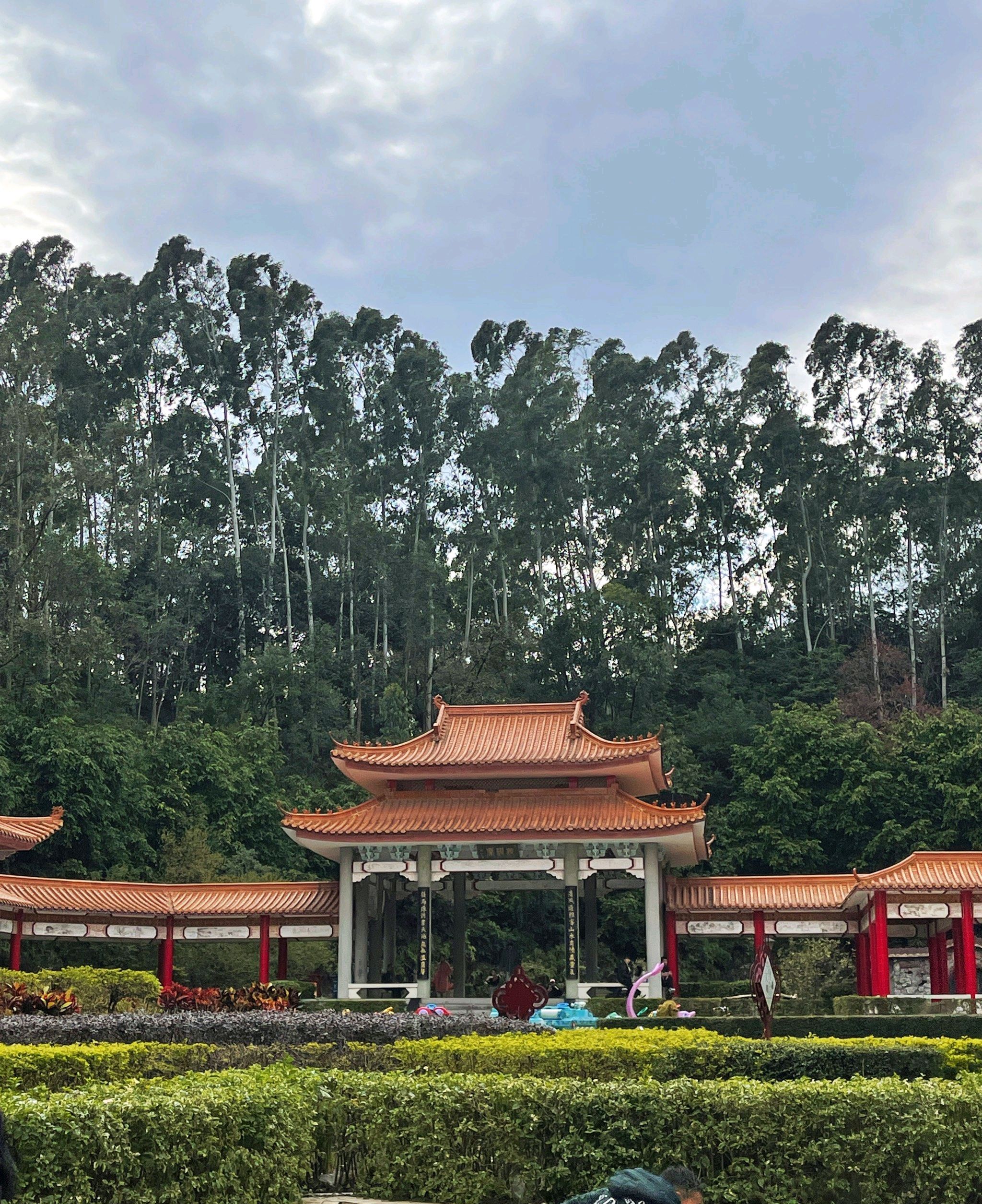 中华龙旅行图片 2
