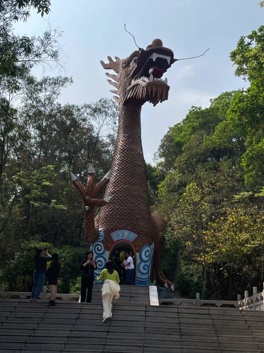 中华龙旅行图片 2