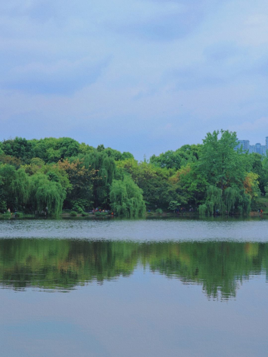 东湖公园旅行图片 2
