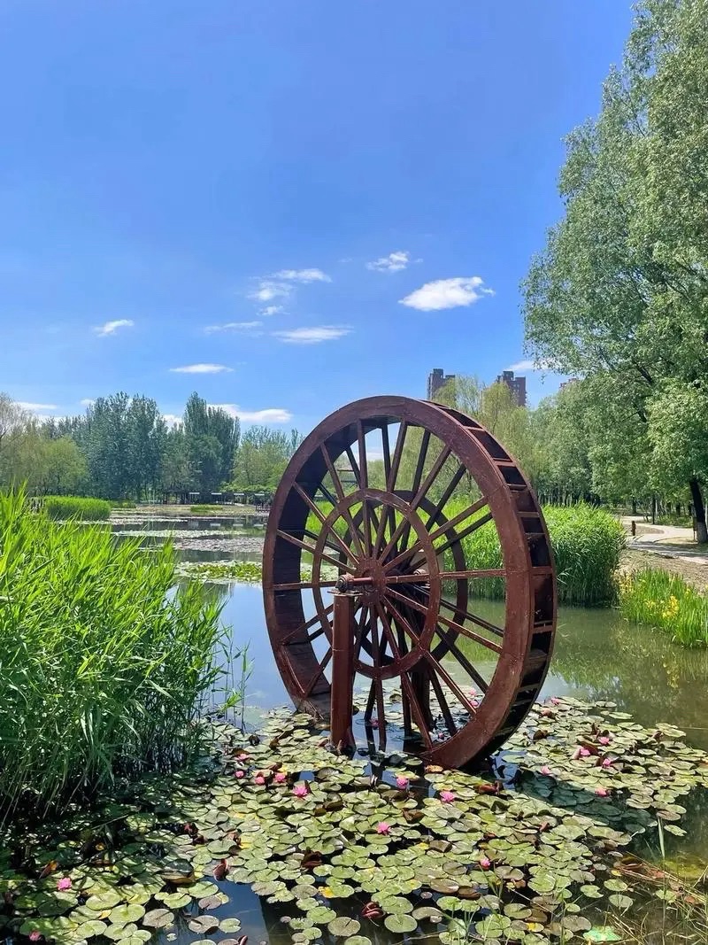 东湖公园旅行图片 2
