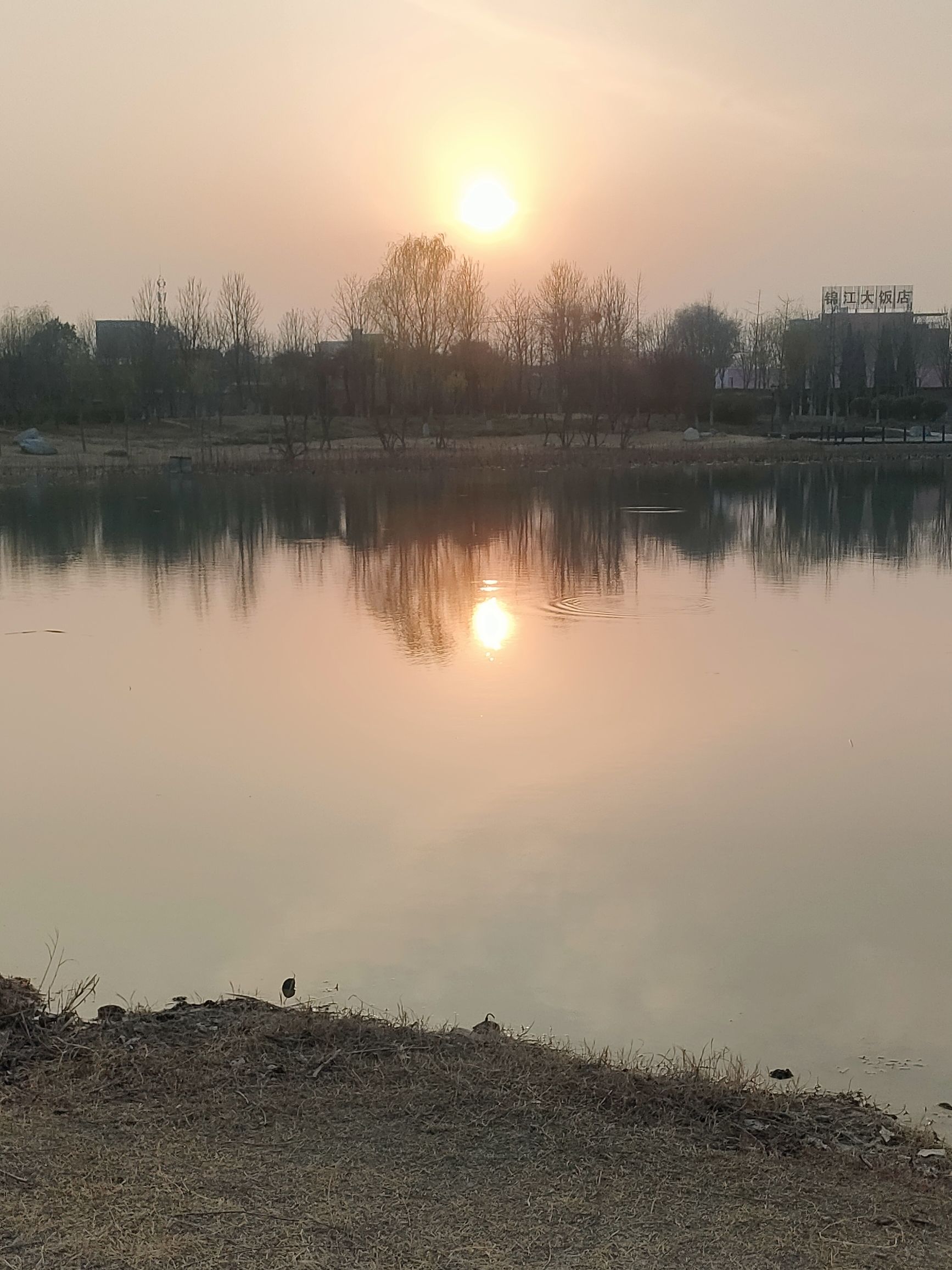 东湖公园旅行图片 3