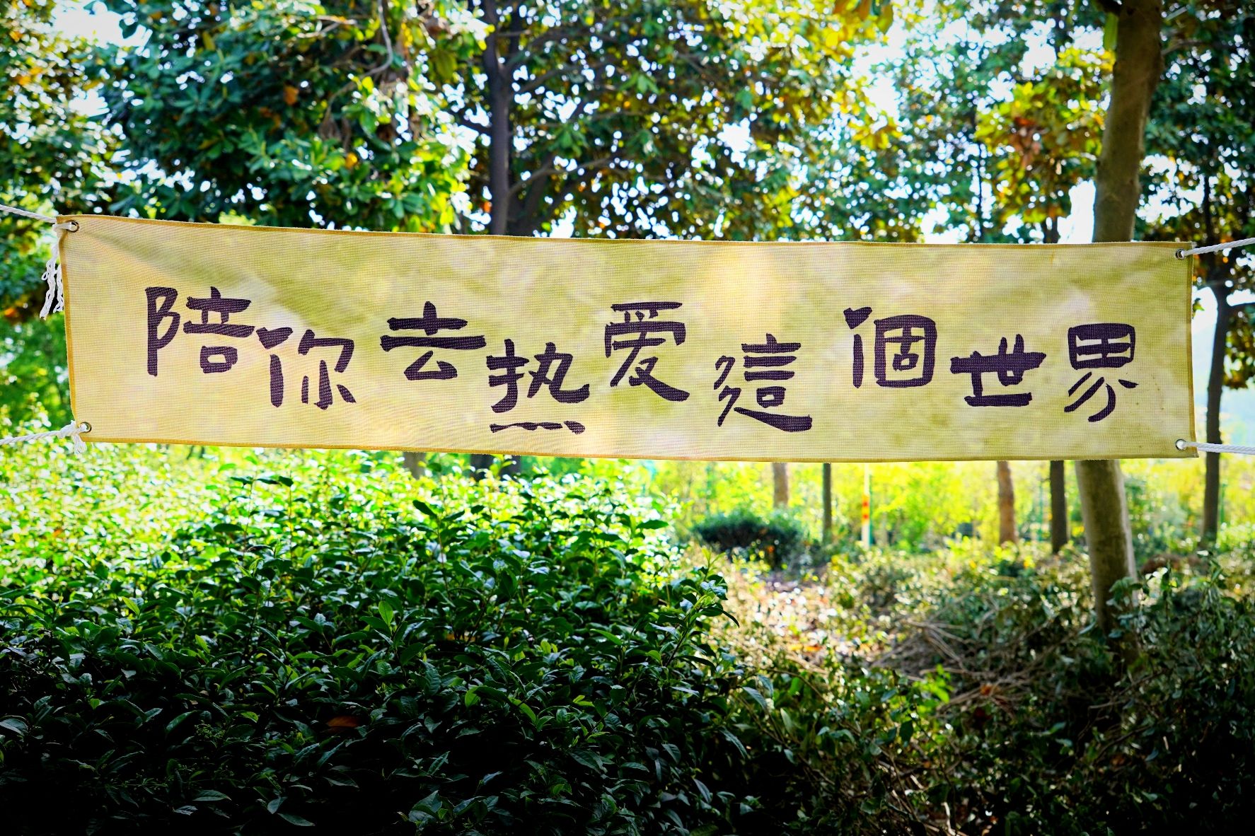 多多花园旅行图片 2
