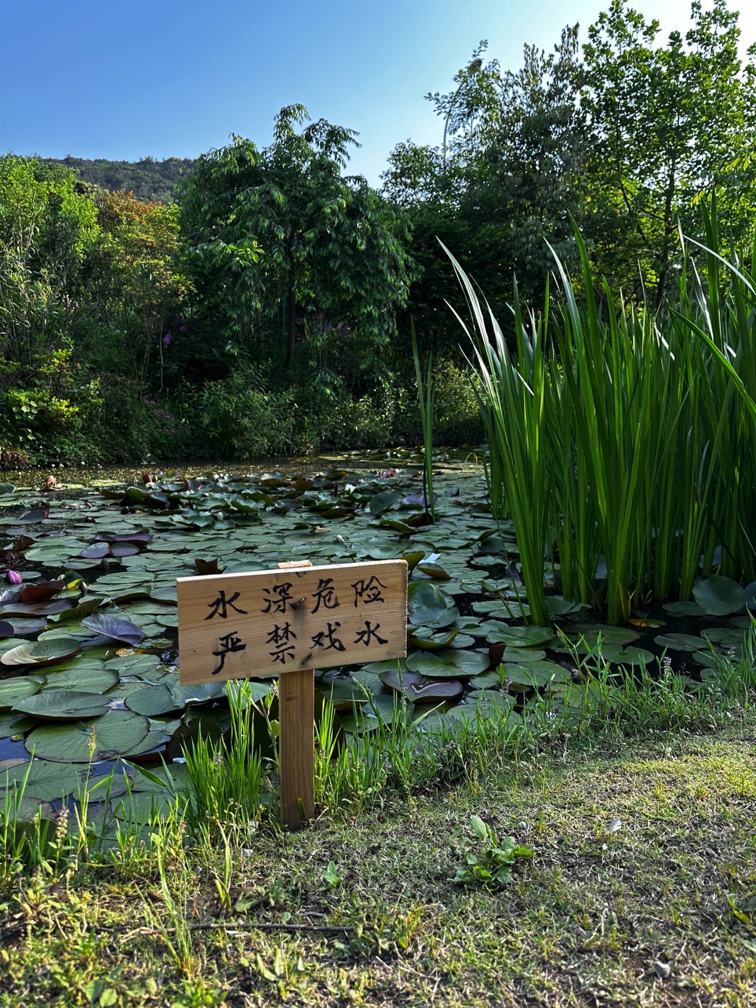 多多花园旅行图片 1