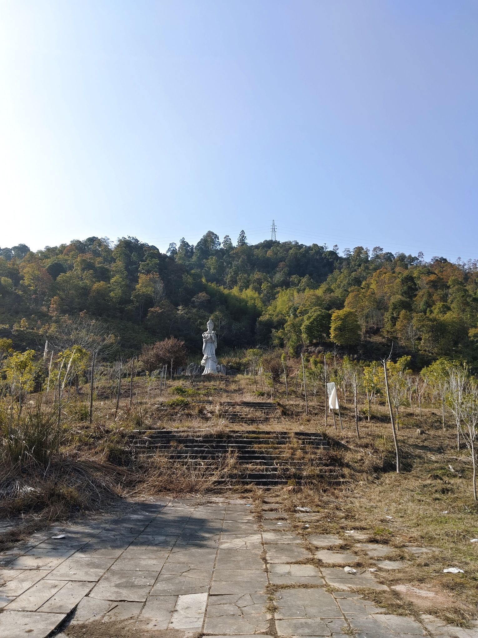 永安龙头国家湿地公园旅行图片 1