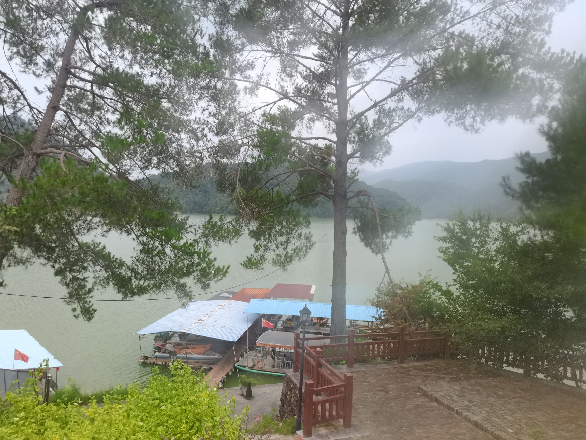 永安龙头国家湿地公园旅行图片 3