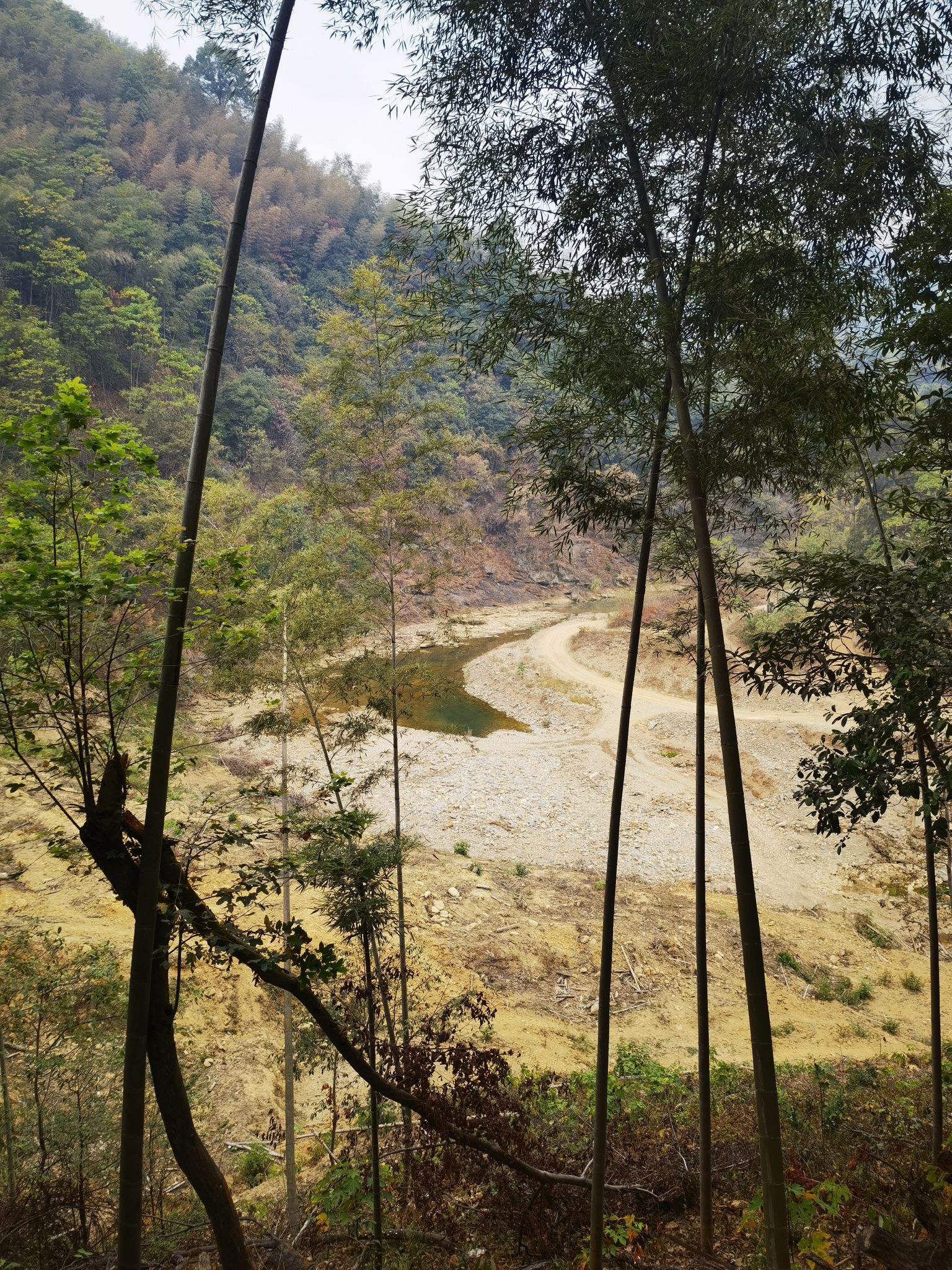 碧湖潭国家森林公园旅行图片 2