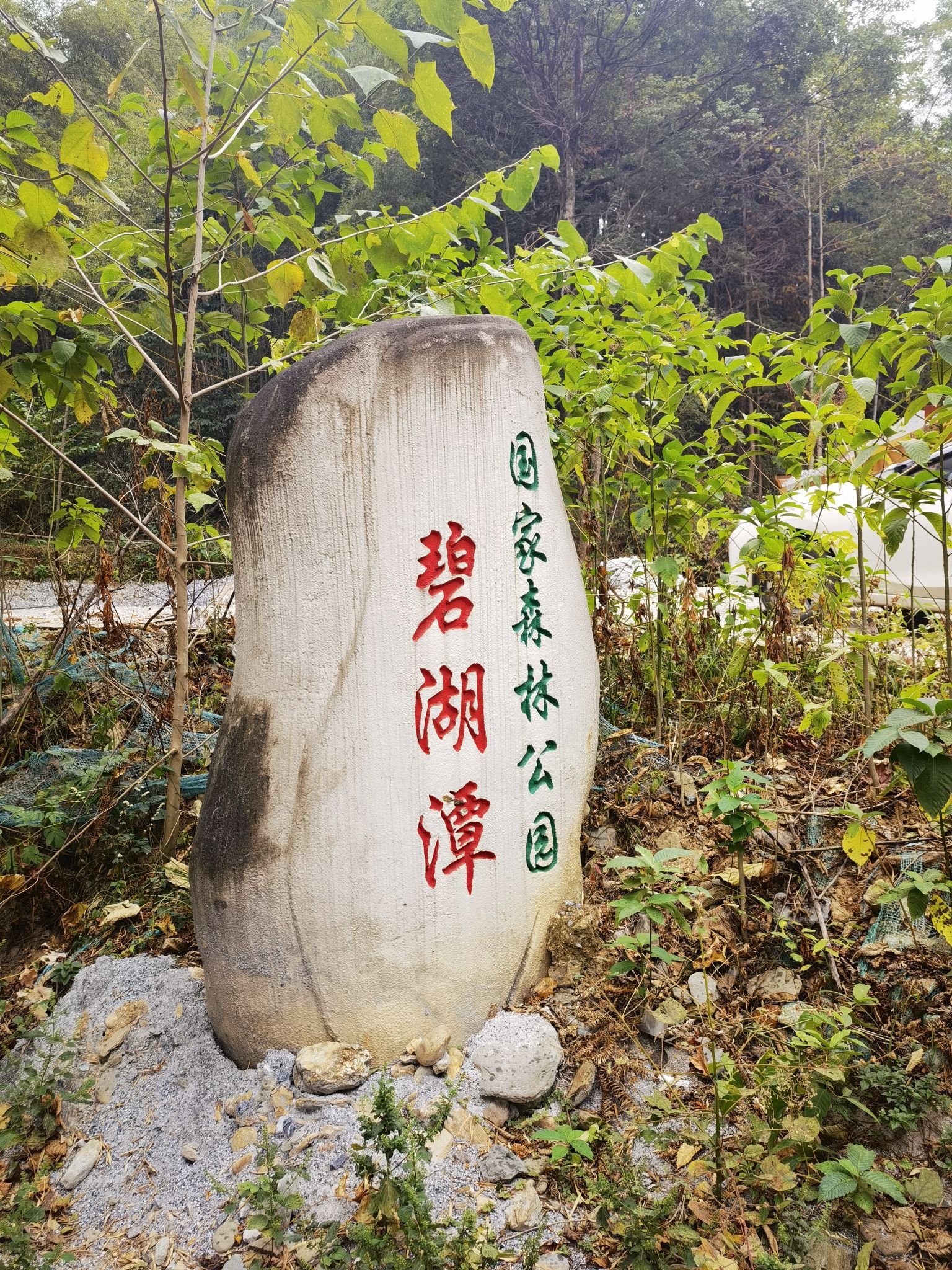 碧湖潭国家森林公园旅行图片 1