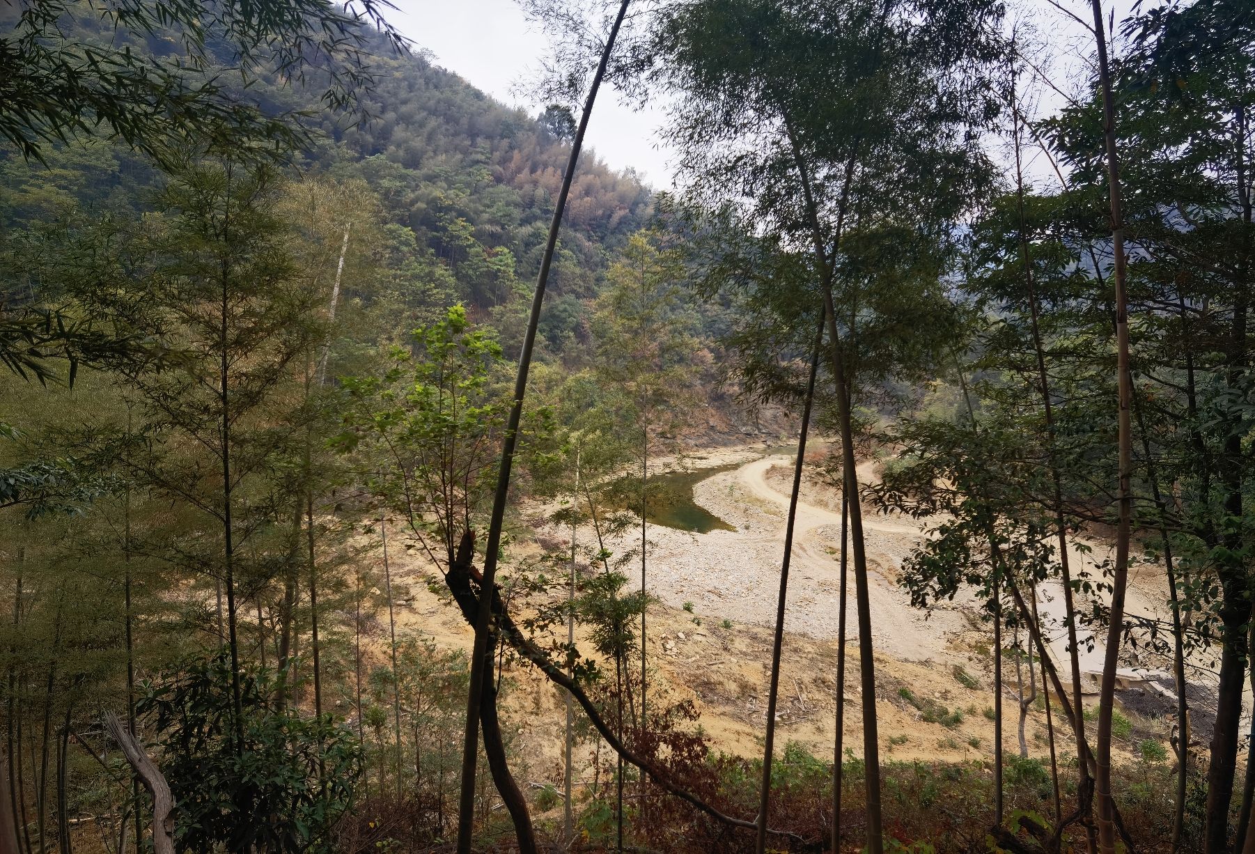 碧湖潭国家森林公园旅行图片 3
