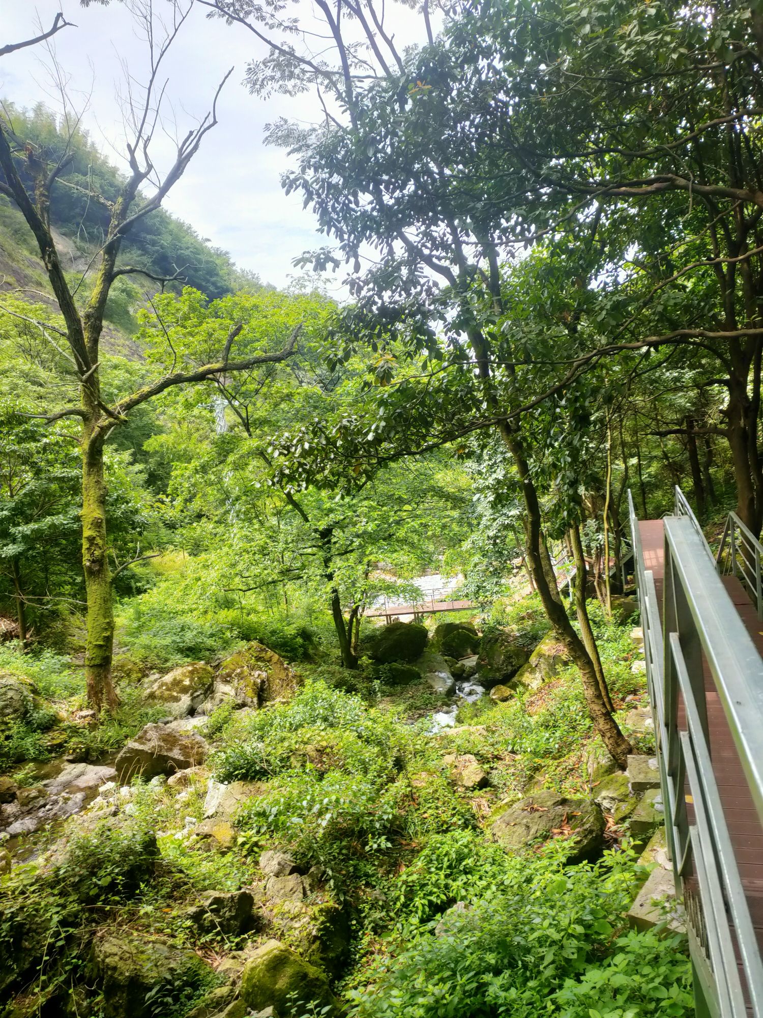 稽东雪窦岭旅行图片 2