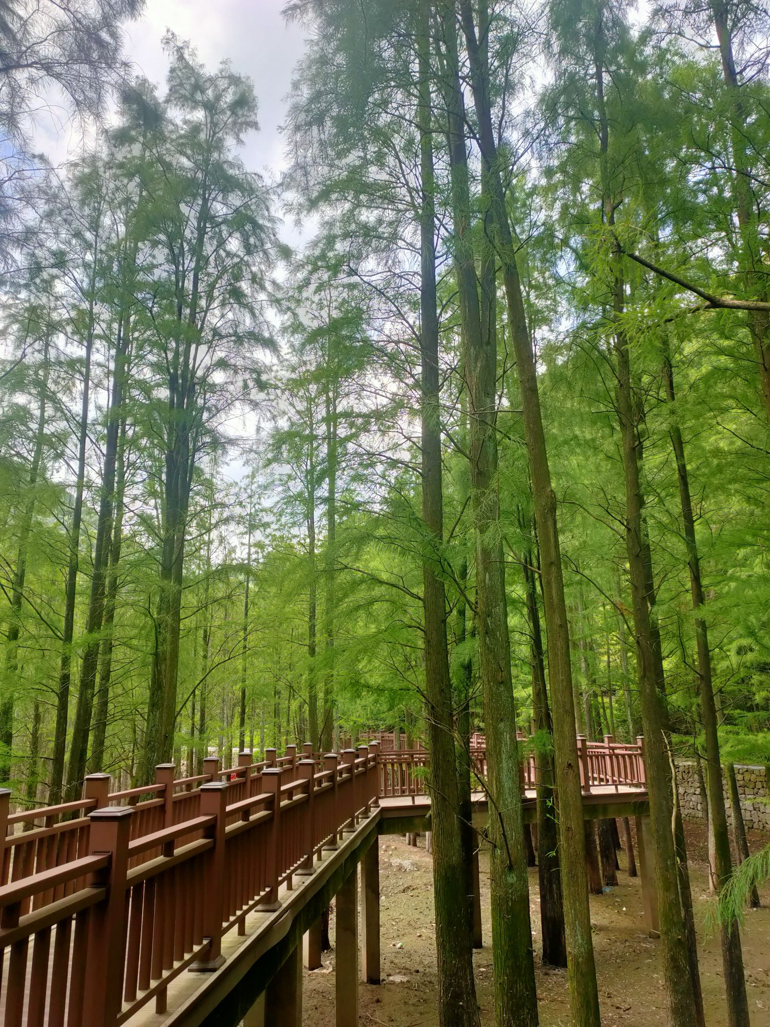 稽东雪窦岭旅行图片 3