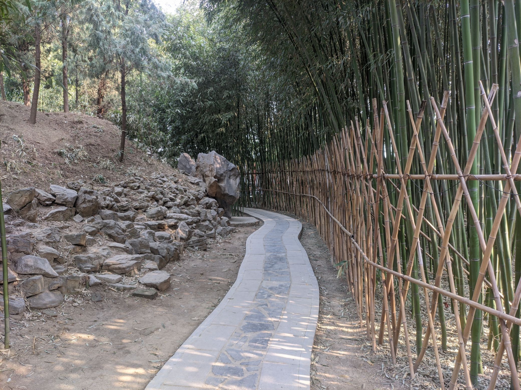 青华洞道观旅行图片 3