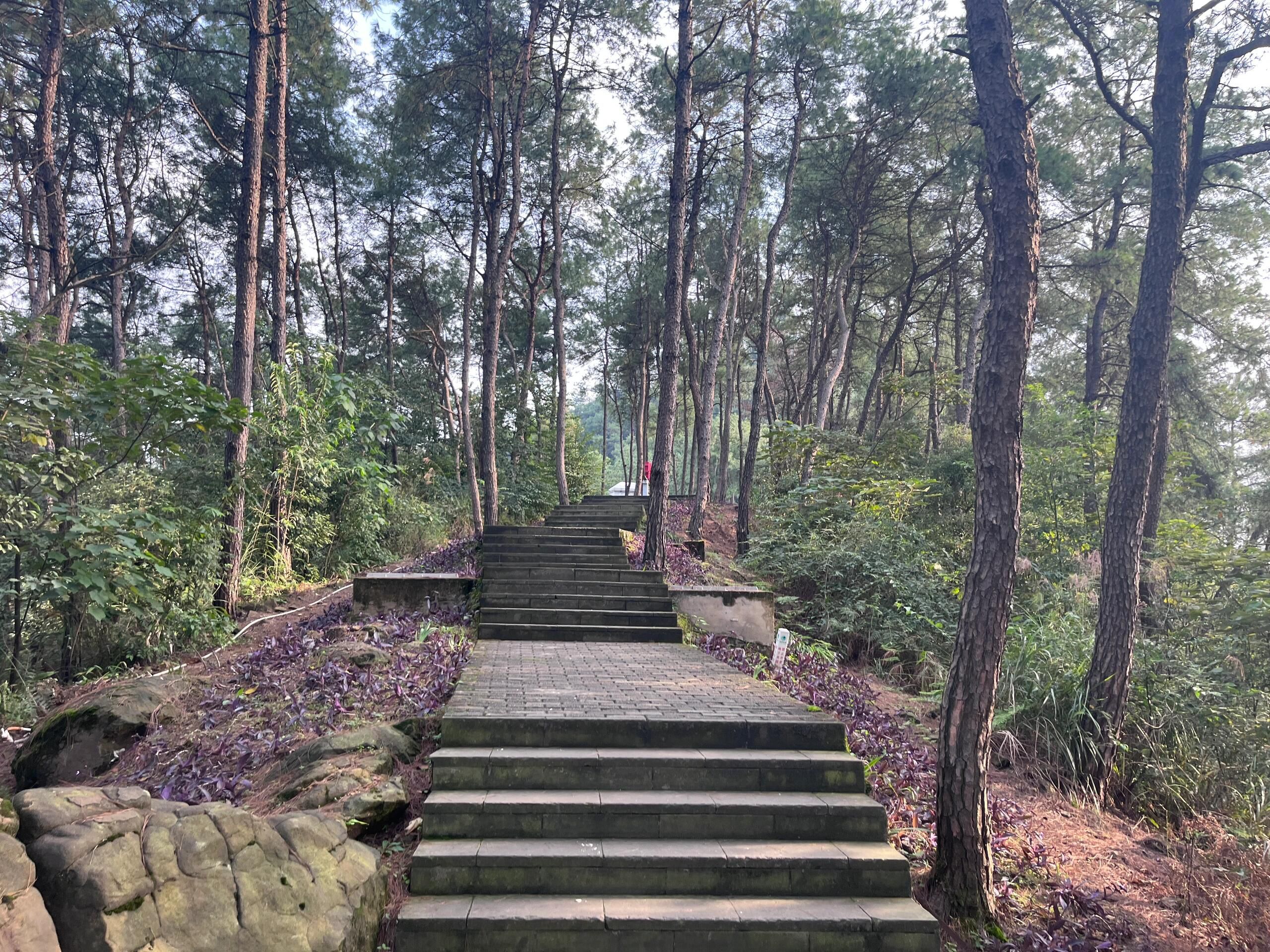 南温泉风景区旅行图片 2
