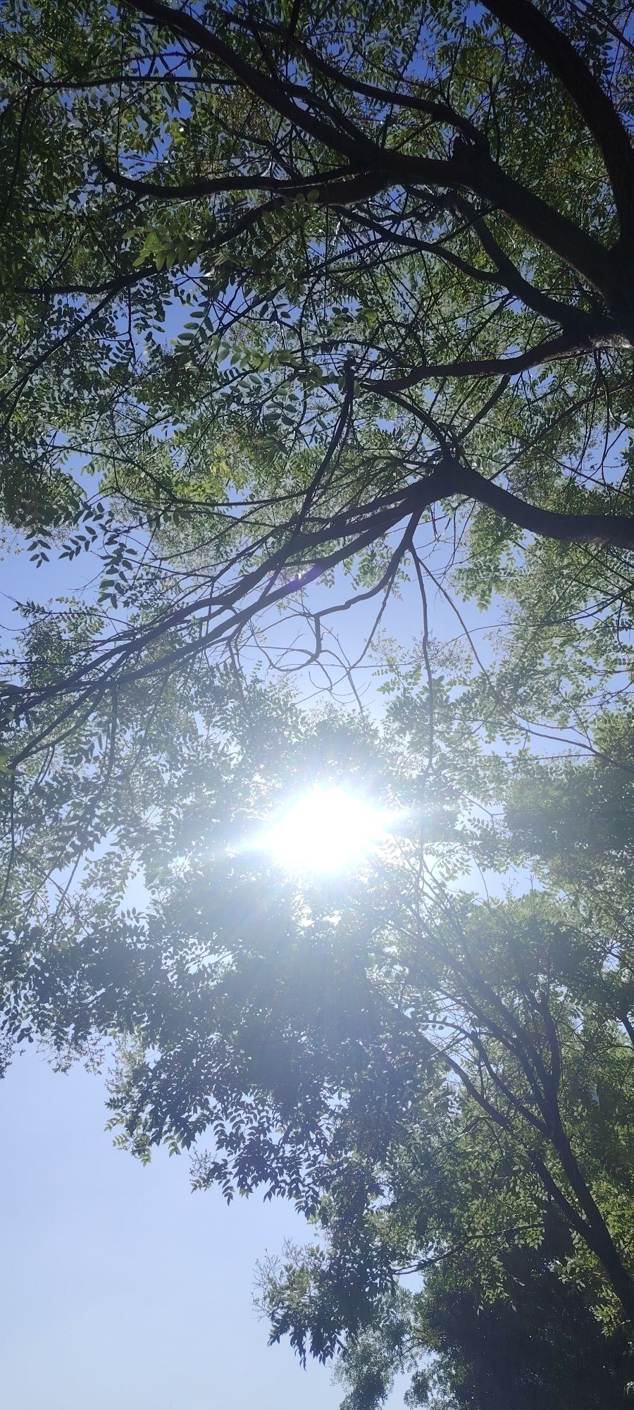 南温泉风景区旅行图片 1
