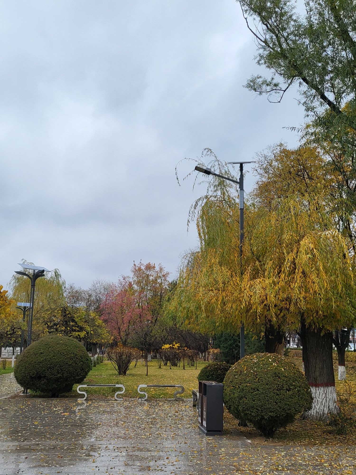 积翠公园旅行图片 1