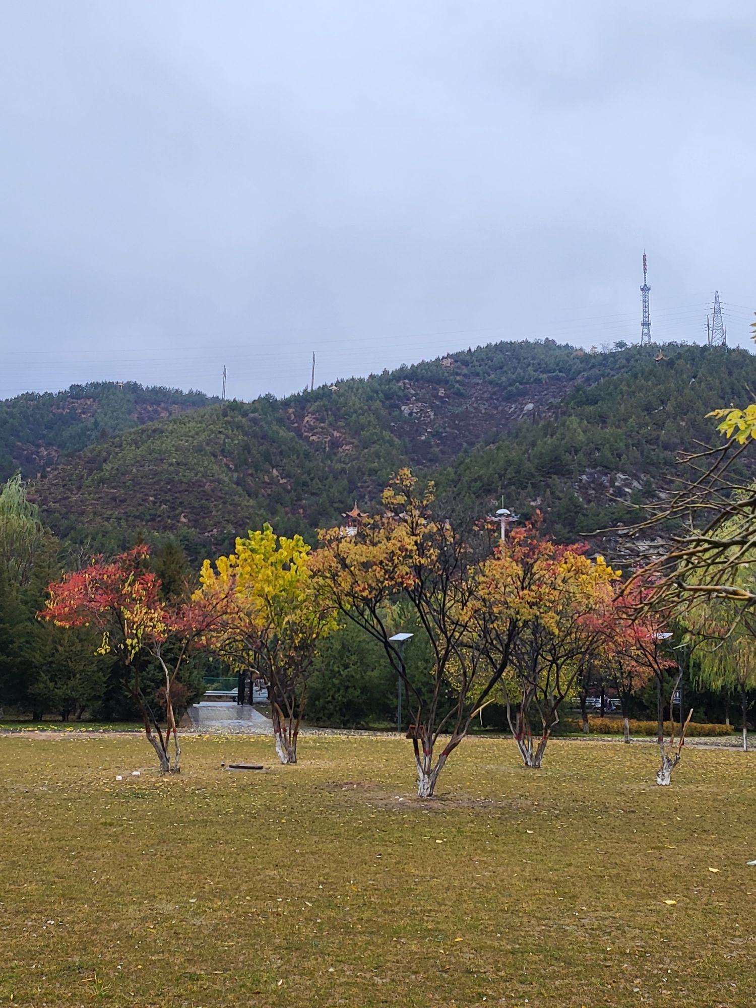 积翠公园旅行图片 3