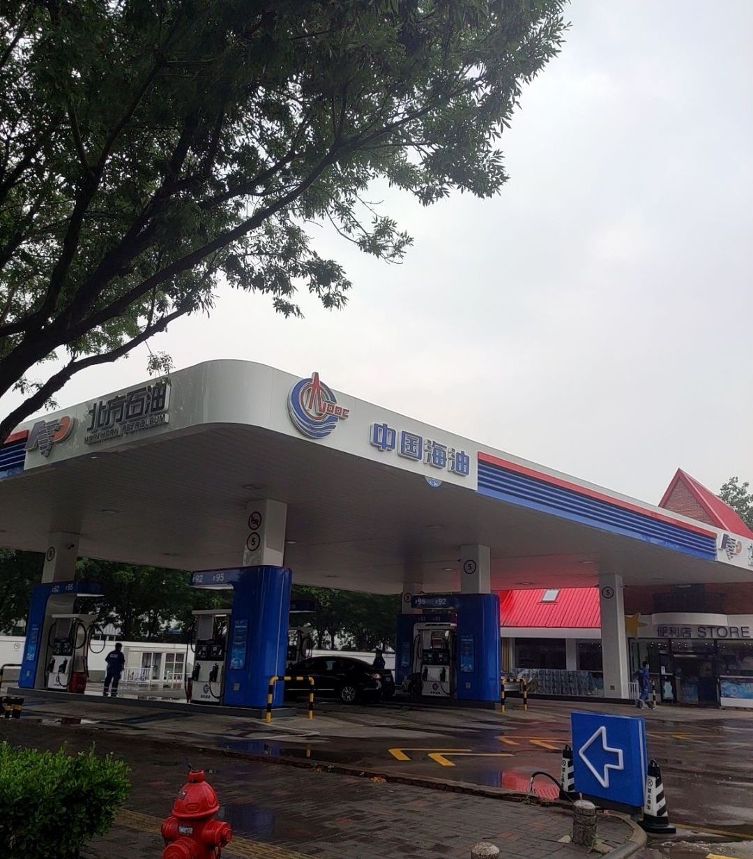 中国海油北方石油加油站(睦宁路店)