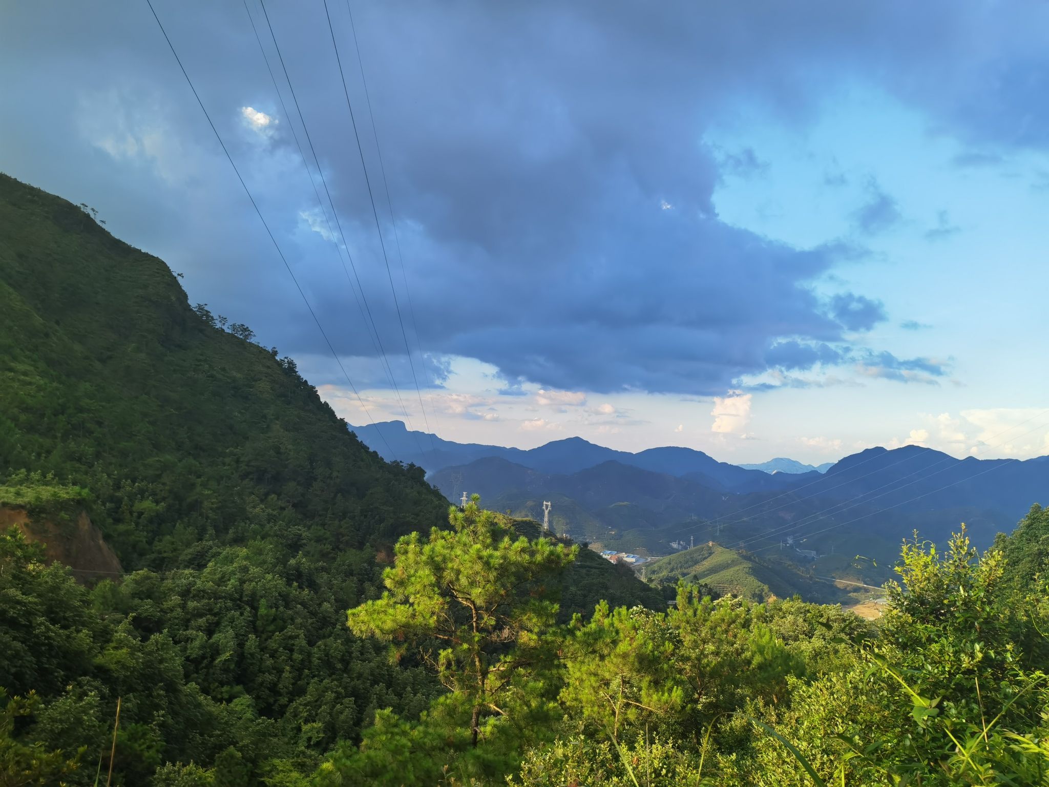 钱排森林公园旅行图片 3