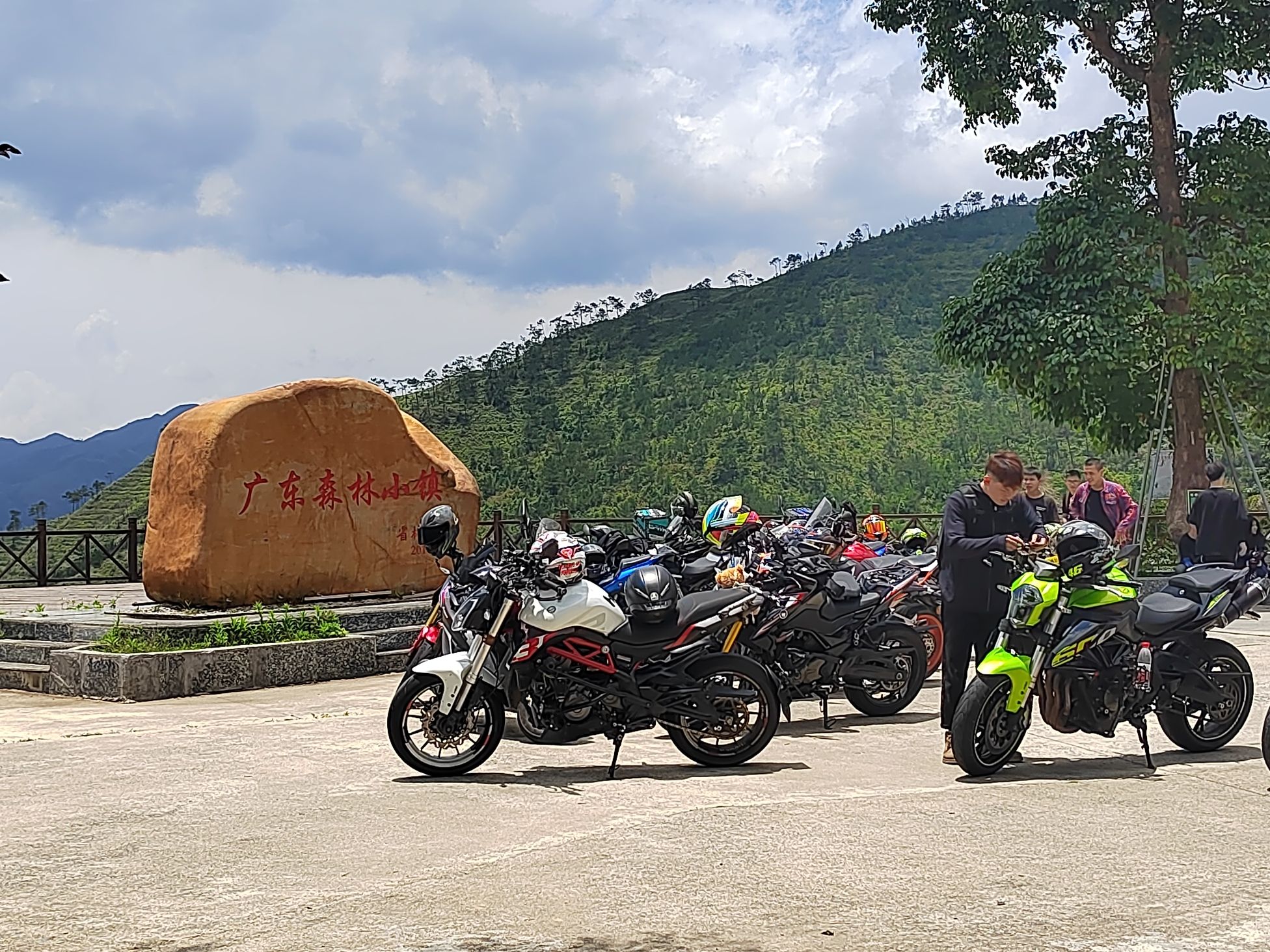 钱排森林公园旅行图片 1