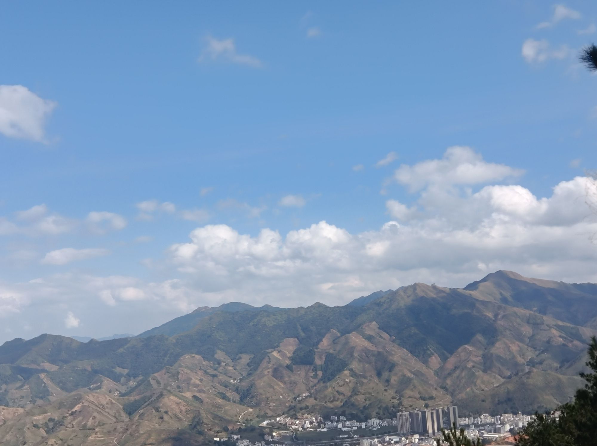钱排森林公园旅行图片 1