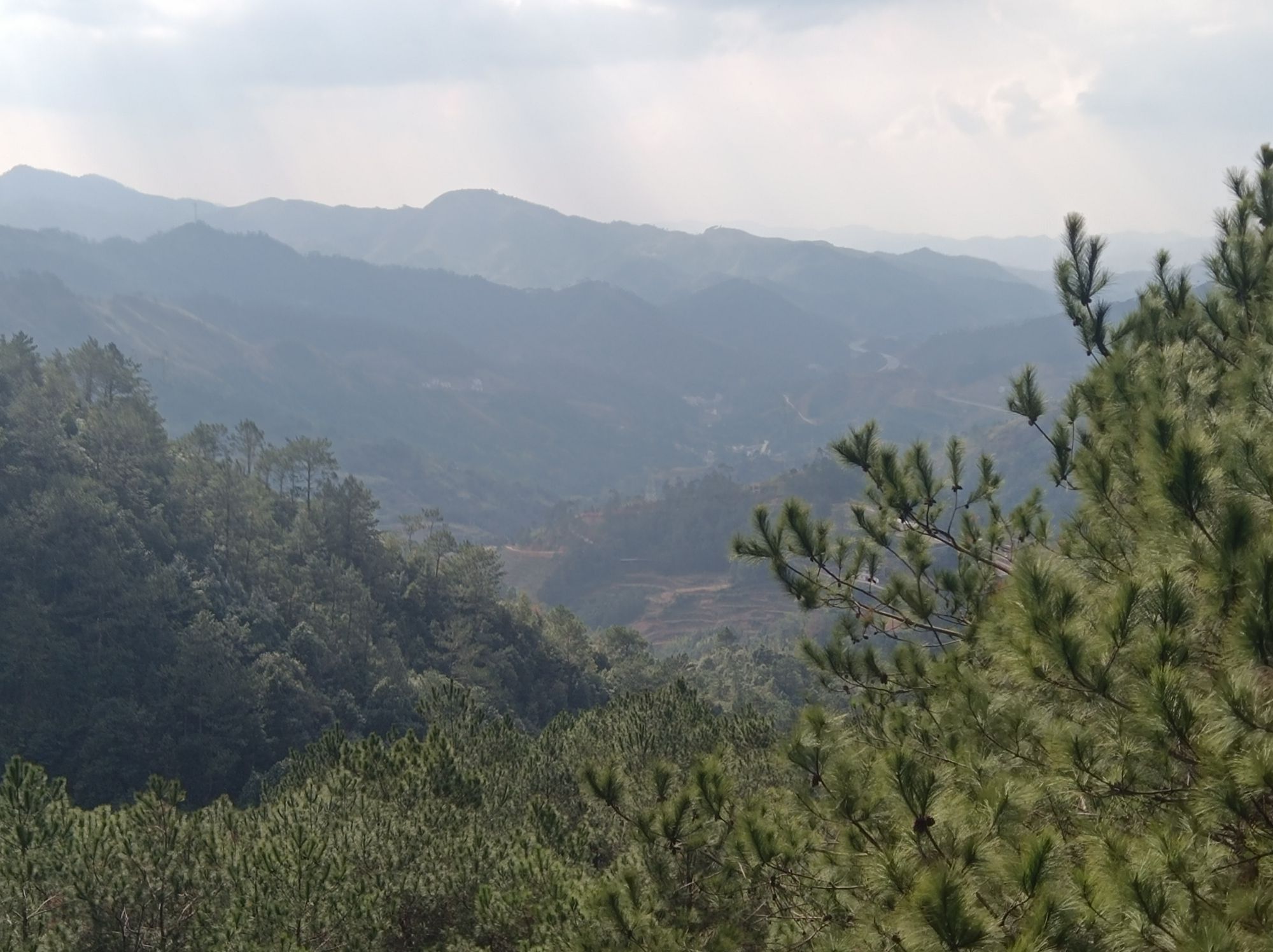 钱排森林公园旅行图片 2