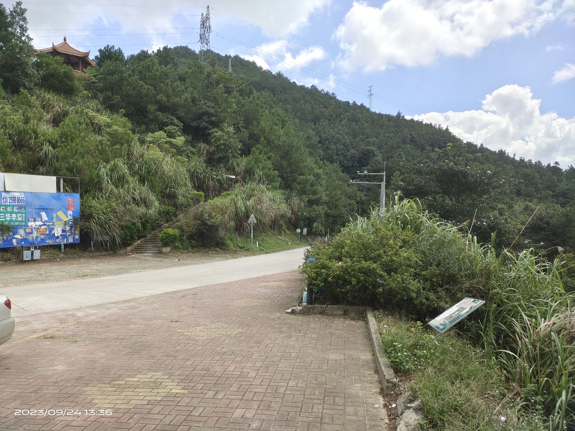 钱排森林公园旅行图片 1