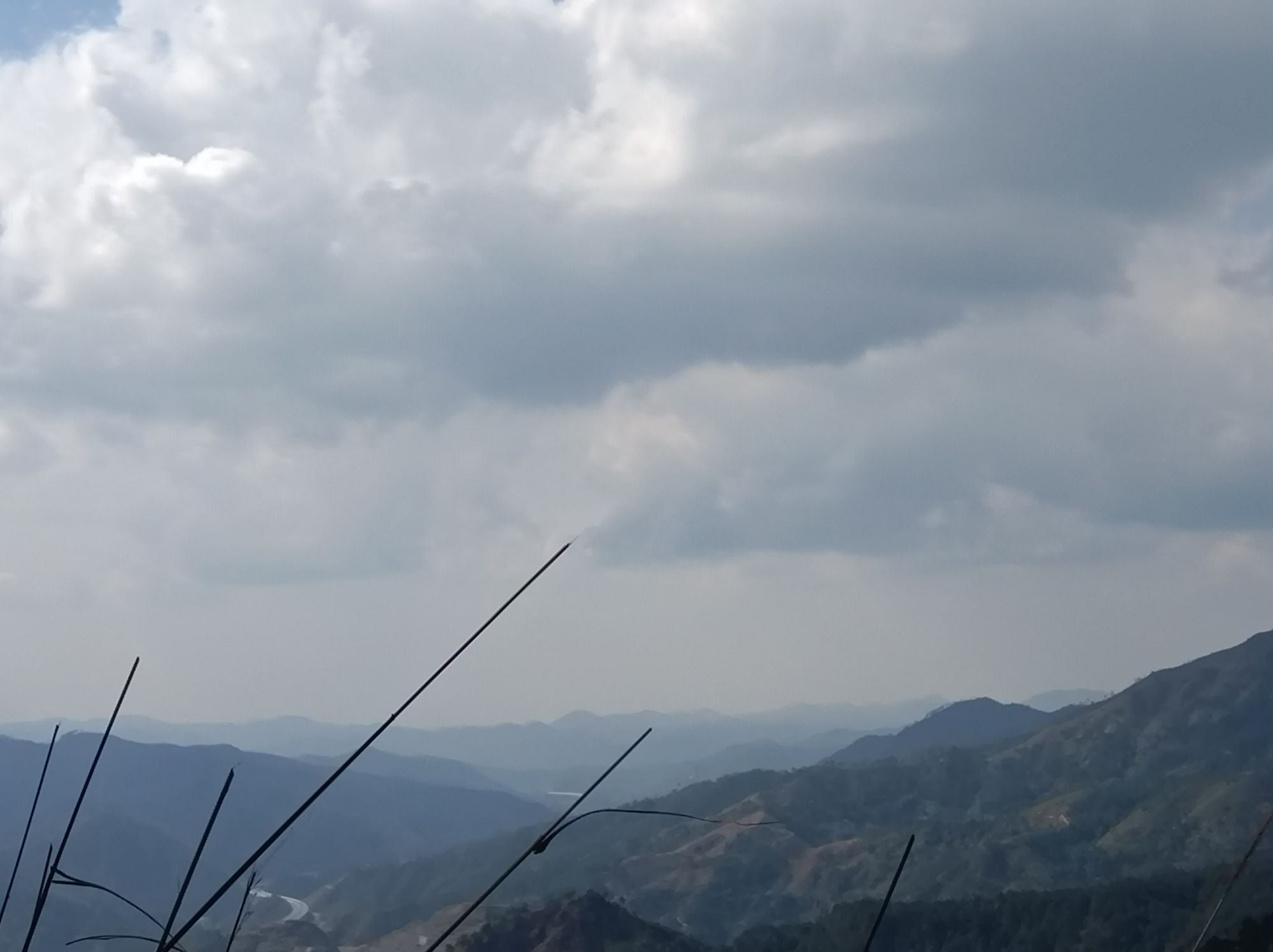钱排森林公园旅行图片 3
