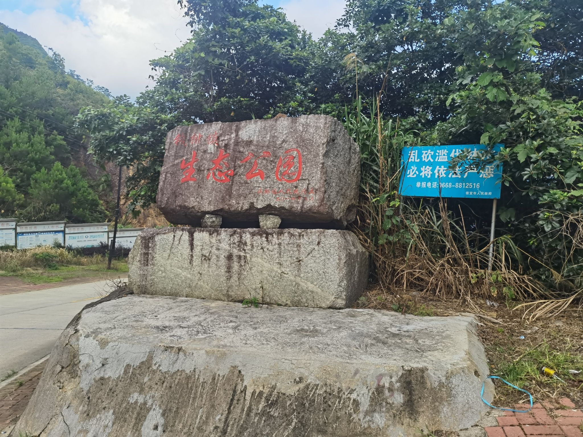 钱排森林公园旅行图片 1