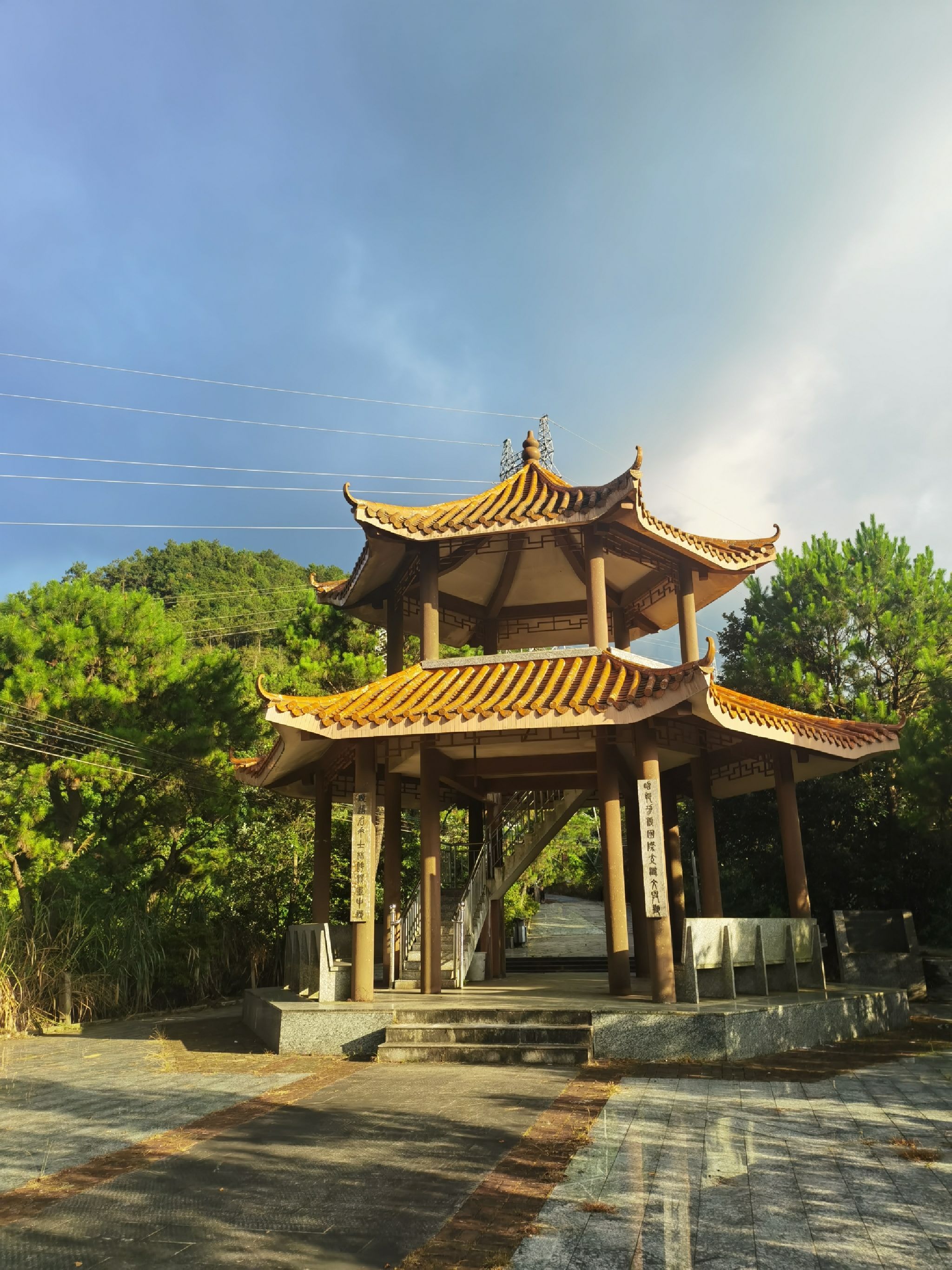 钱排森林公园旅行图片 2