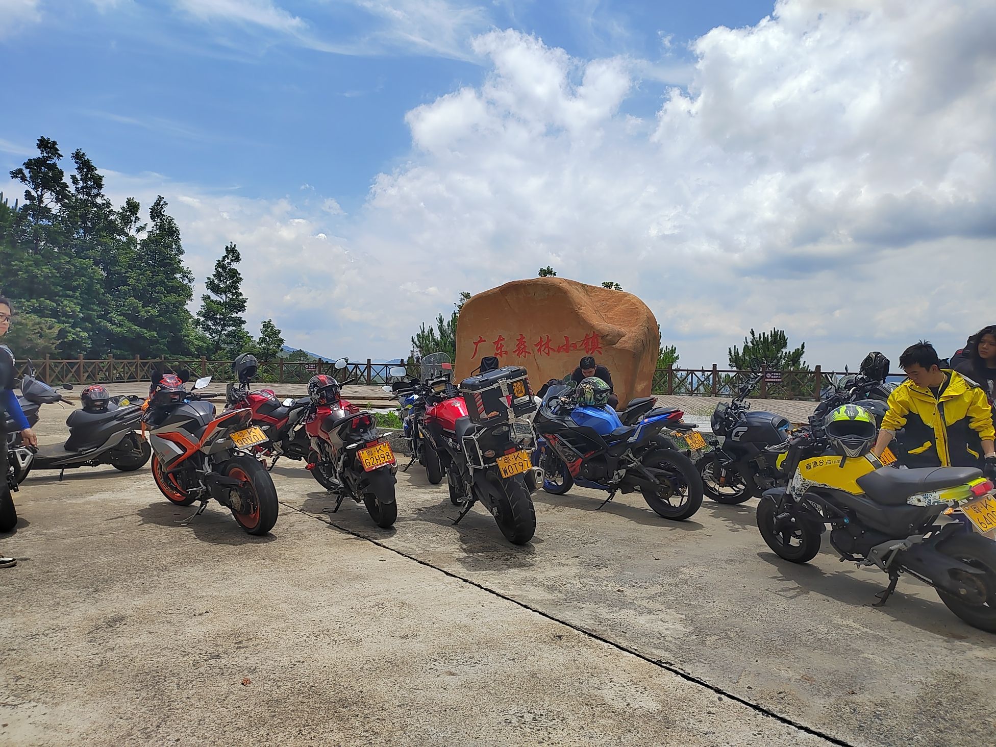 钱排森林公园旅行图片 2