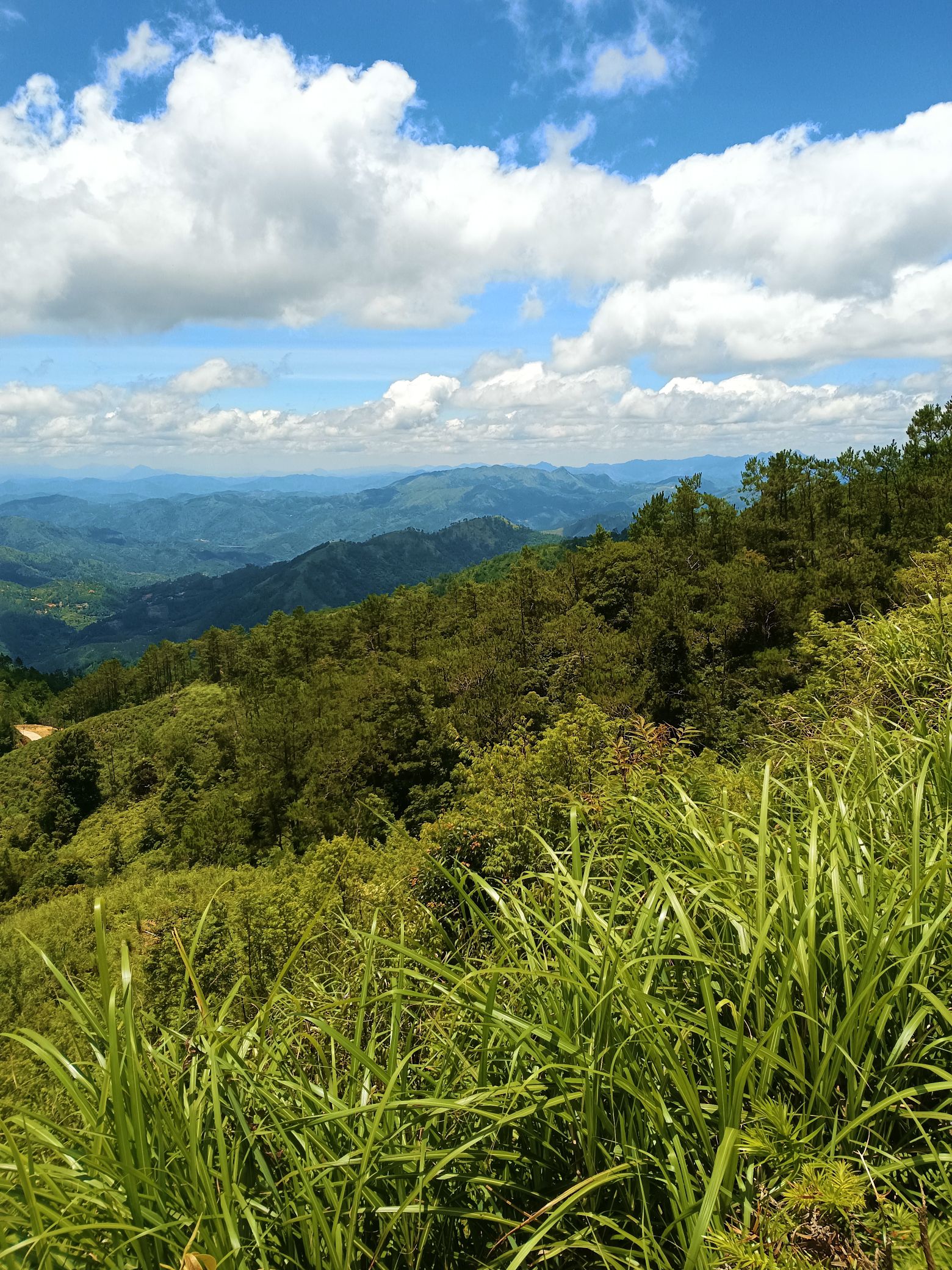 钱排镇生态公园