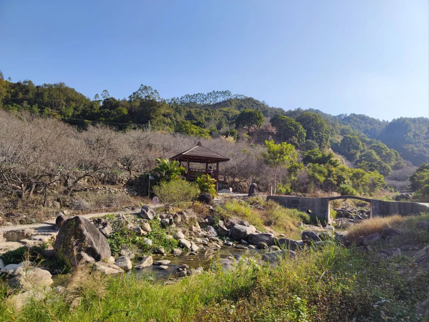 东坑梅花园旅行图片 2