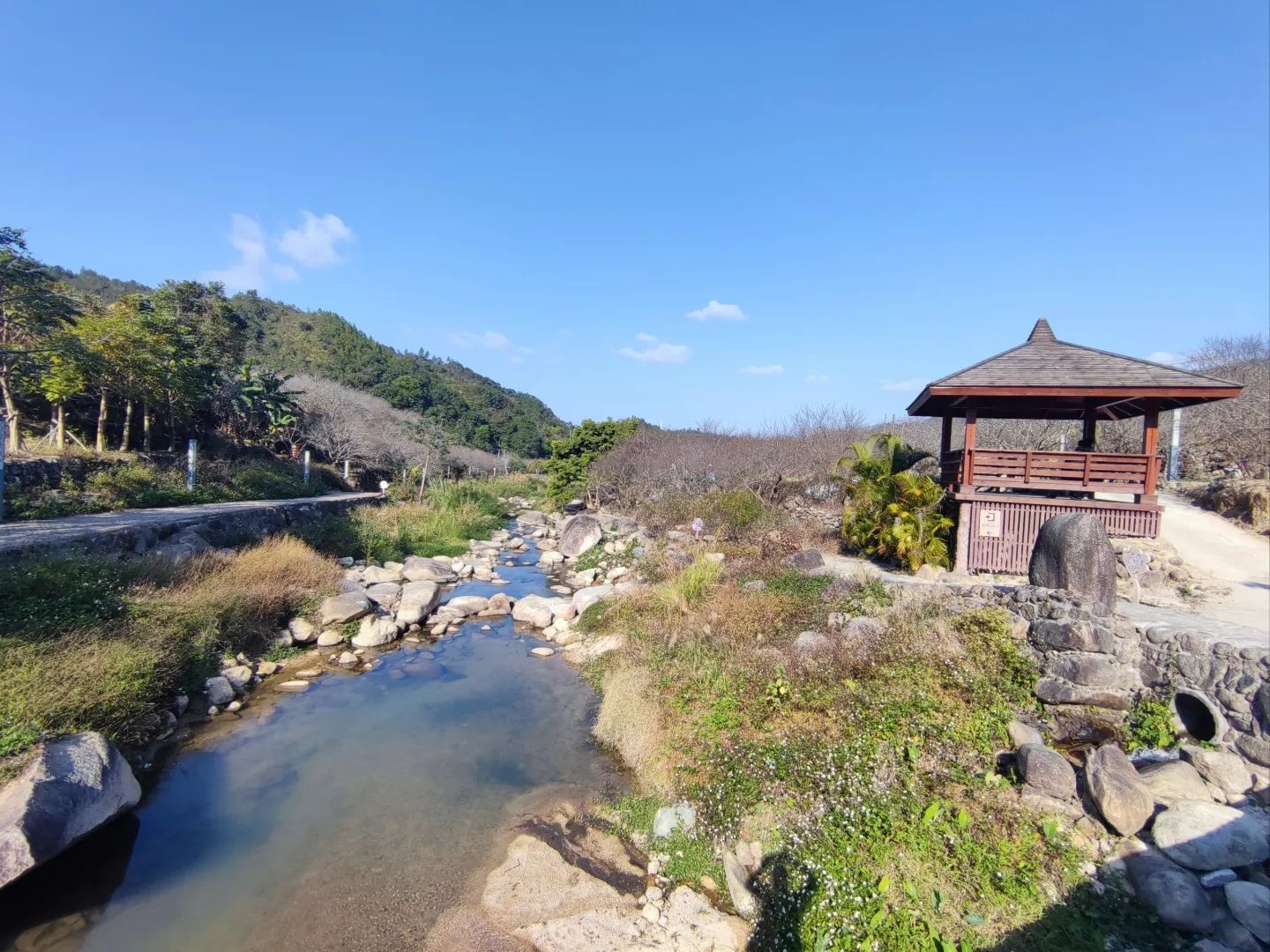 东坑梅花园旅行图片 3