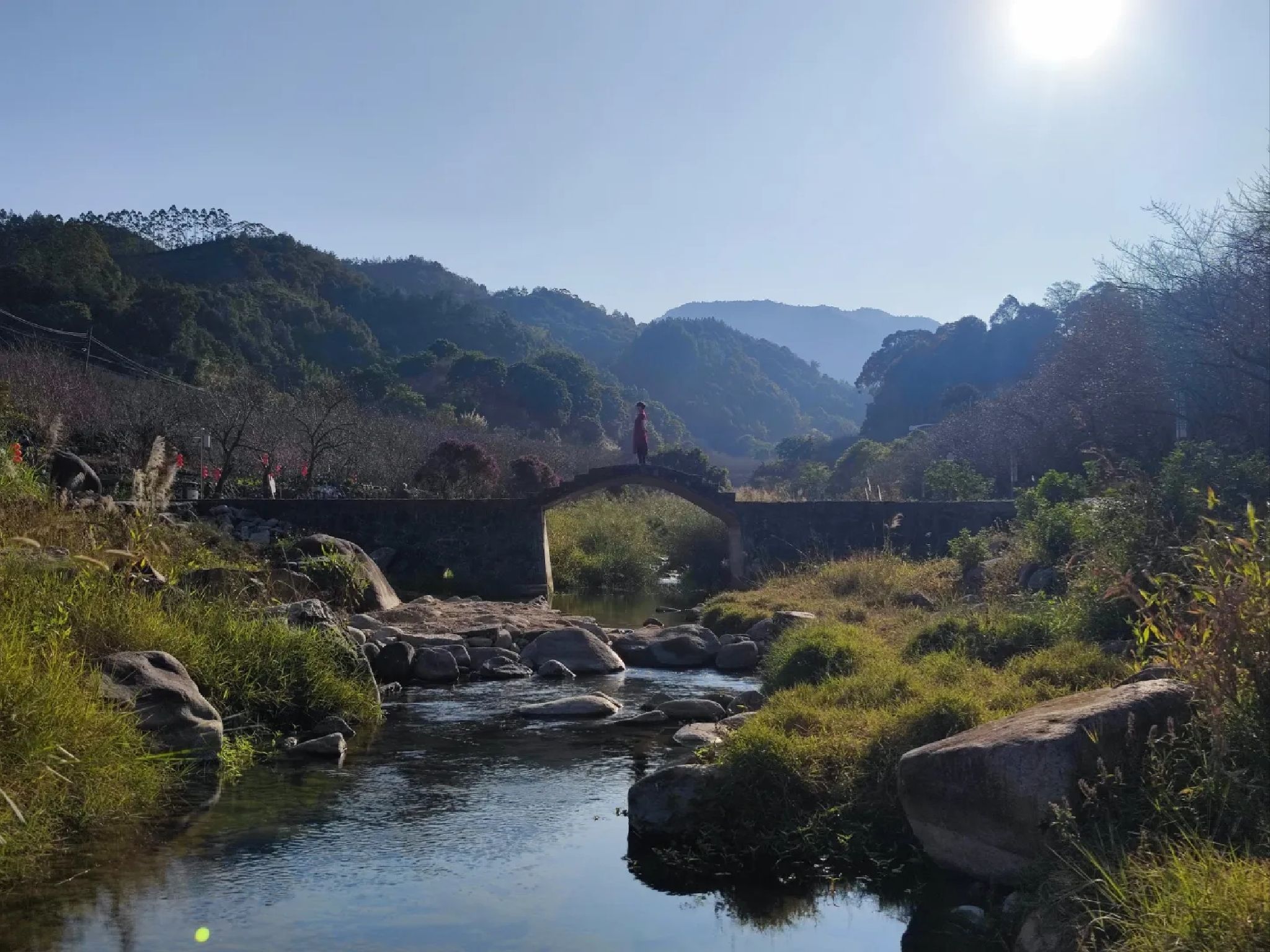 东坑梅花园旅行图片 1