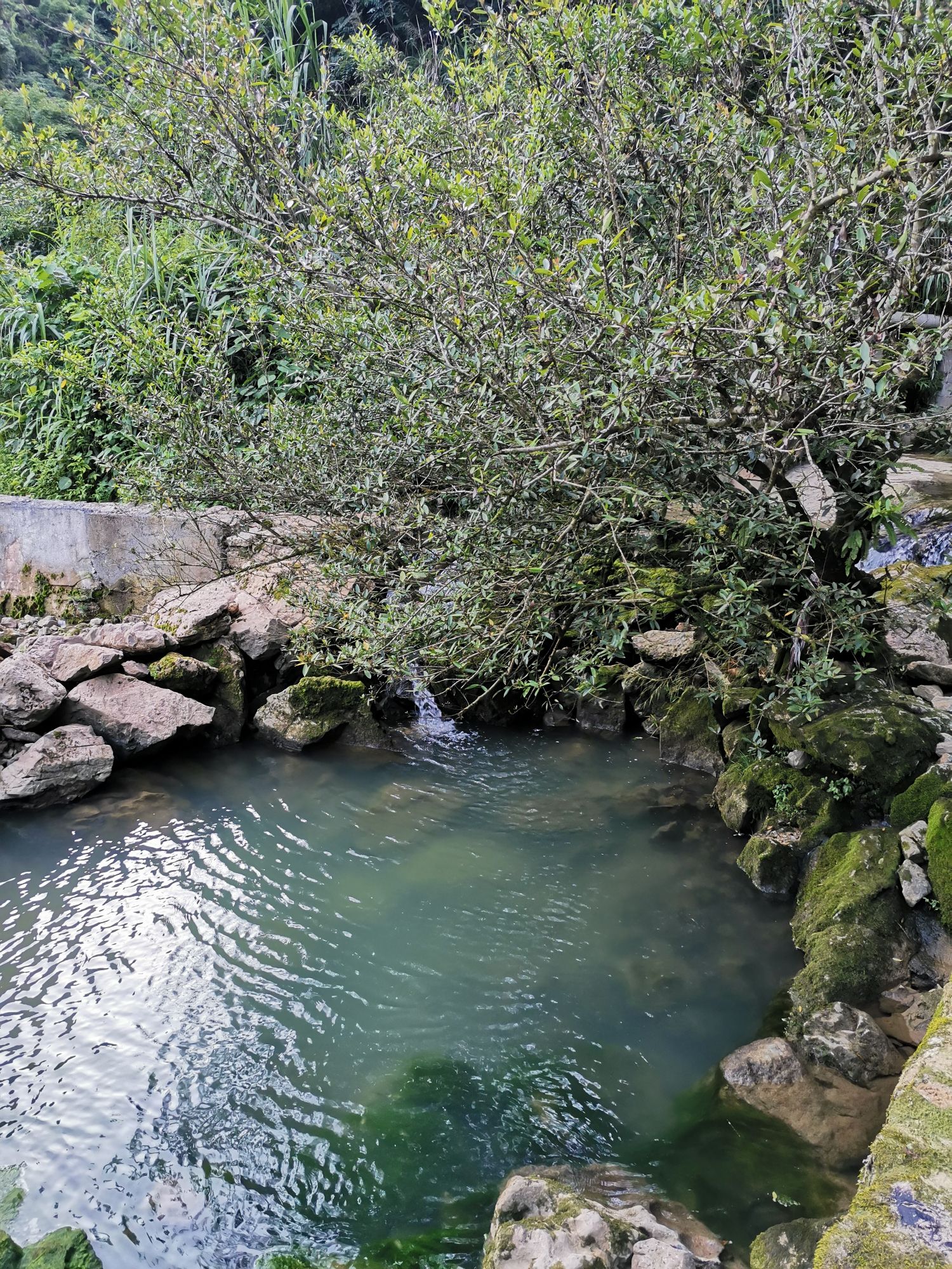 仙女座风景区旅行图片 3