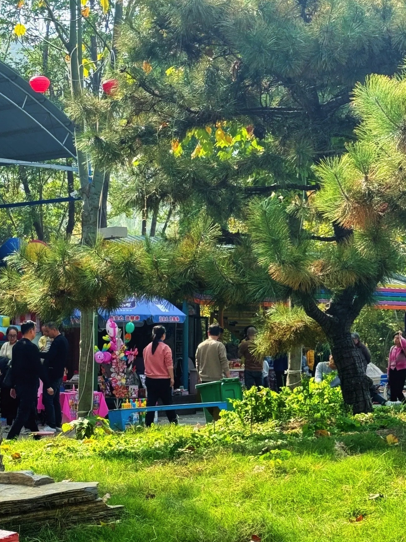 商丘华夏游乐园旅行图片 3
