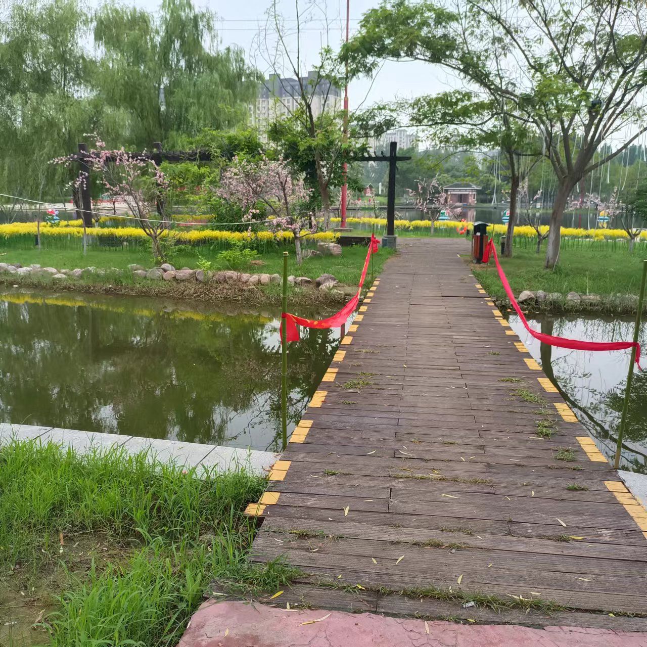 商丘华夏游乐园旅行图片 1