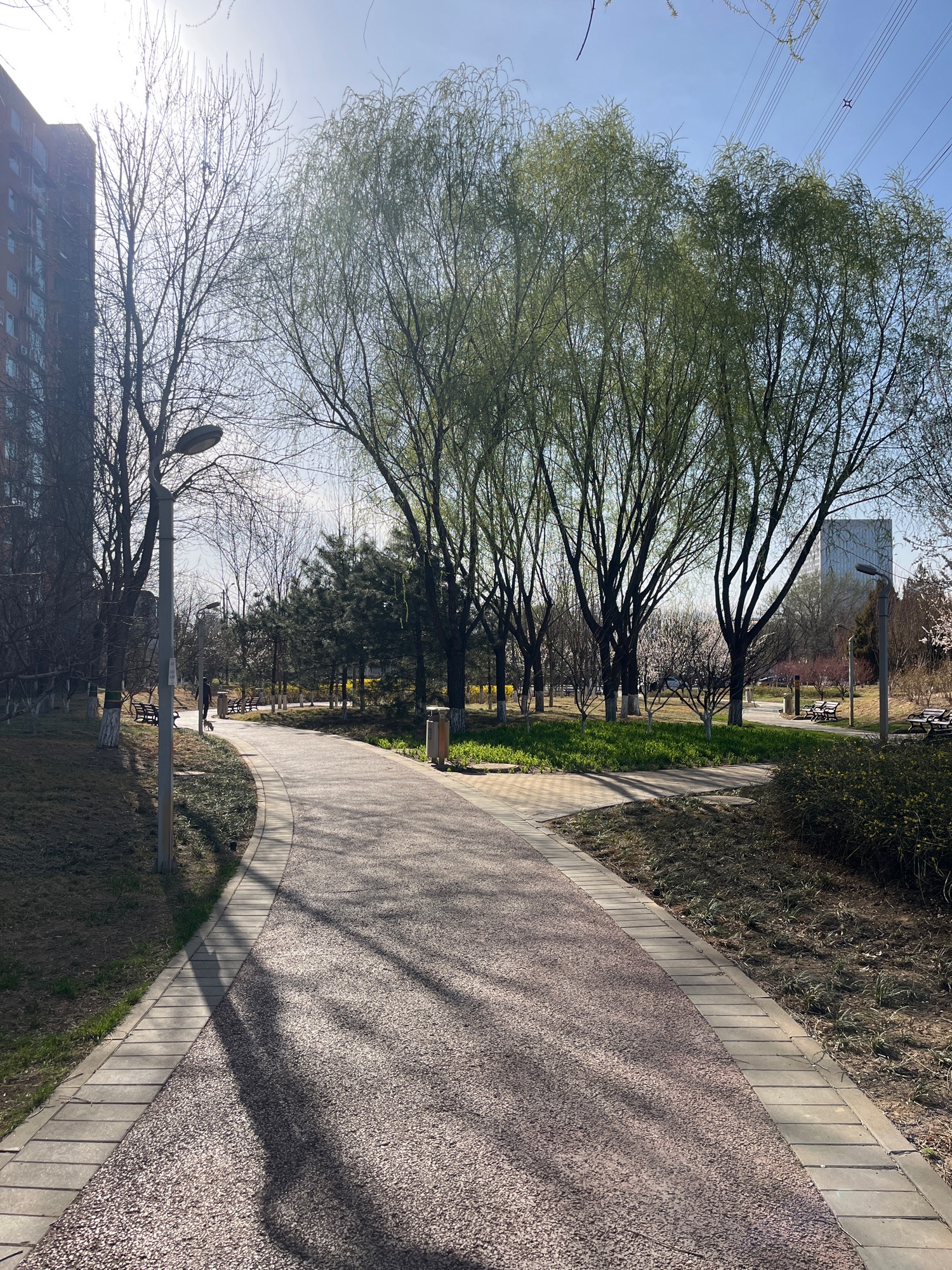 田村城市休闲公园