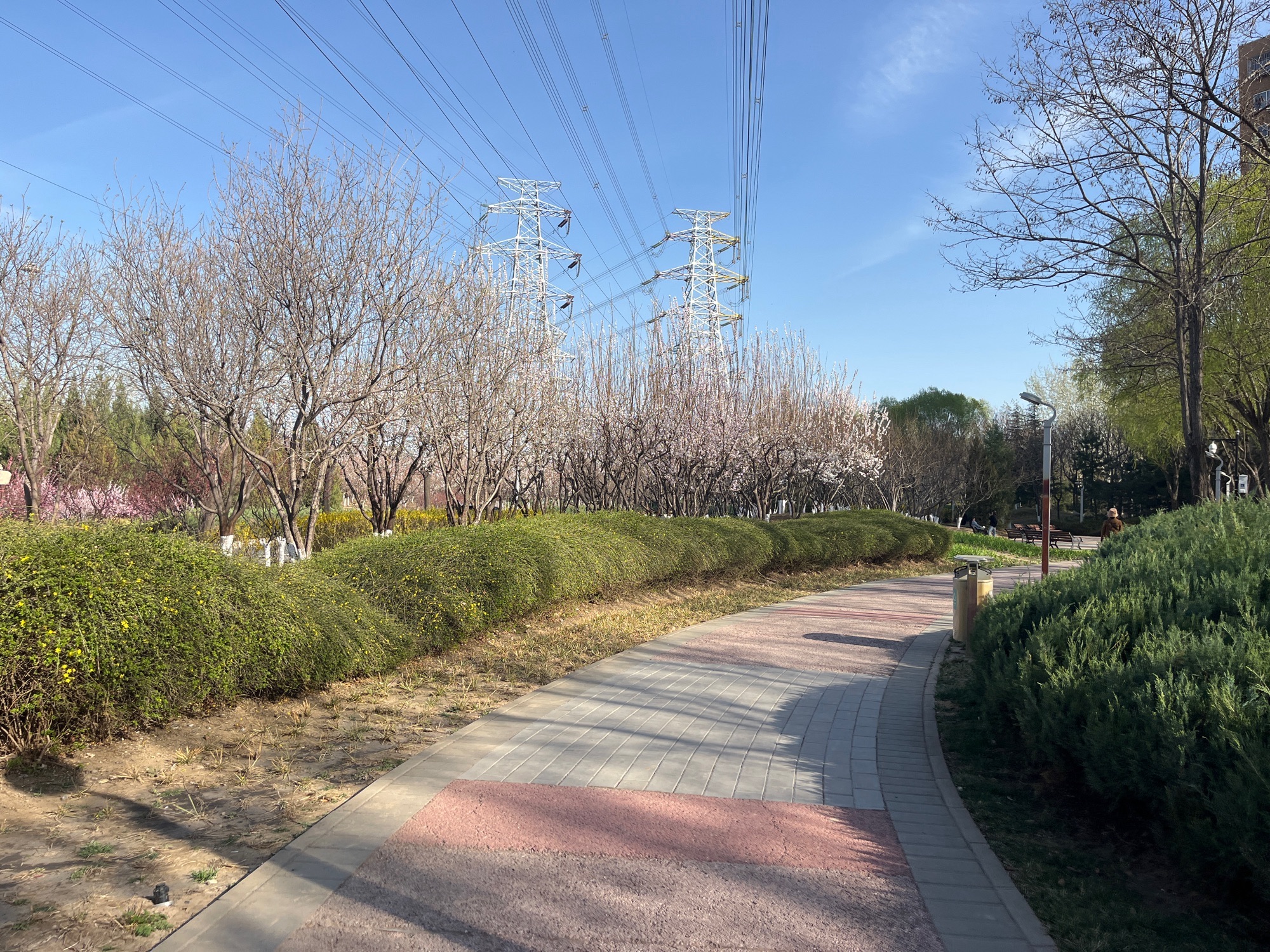 田村城市休闲公园