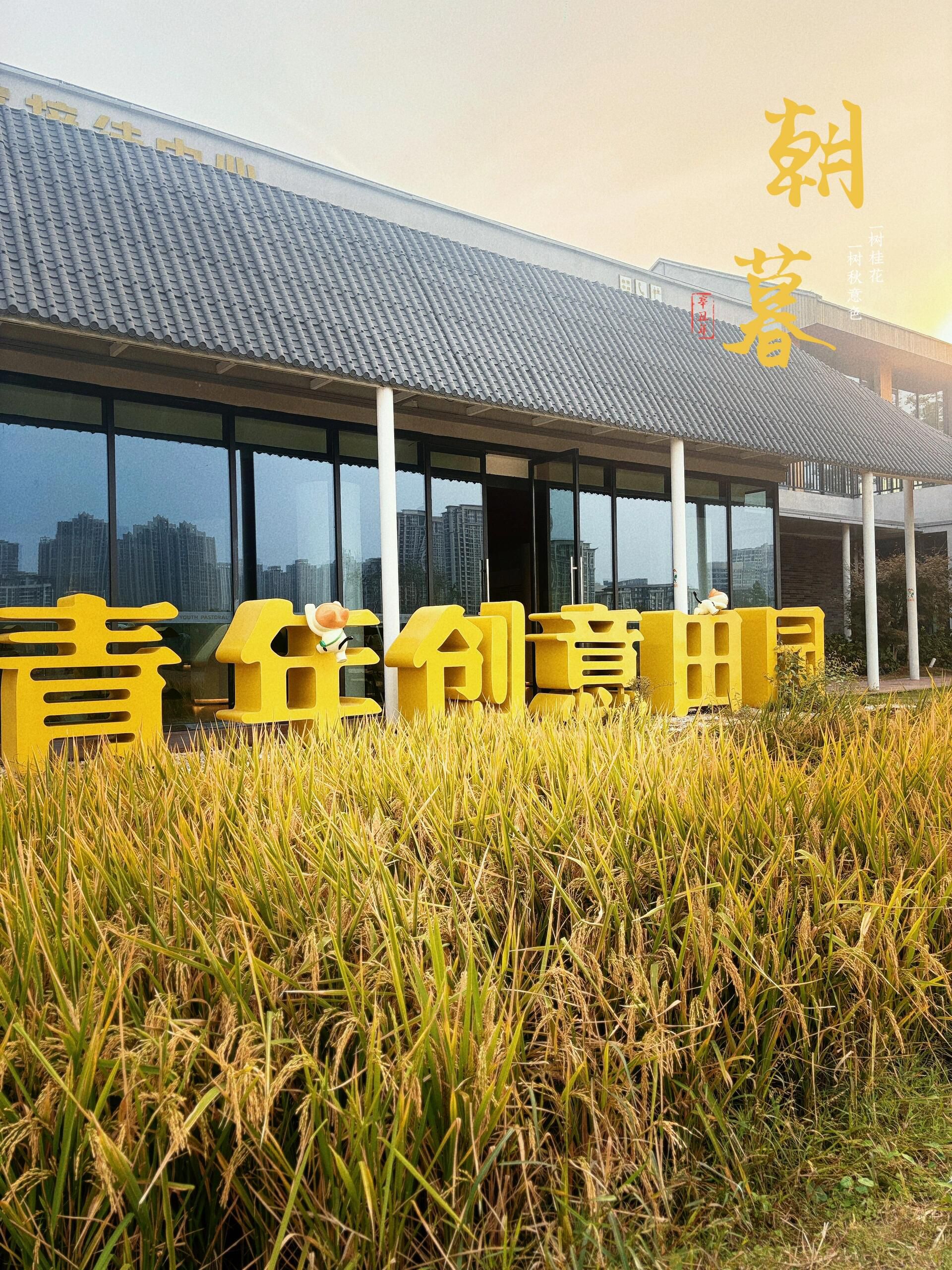 青年创意田园旅行图片 2