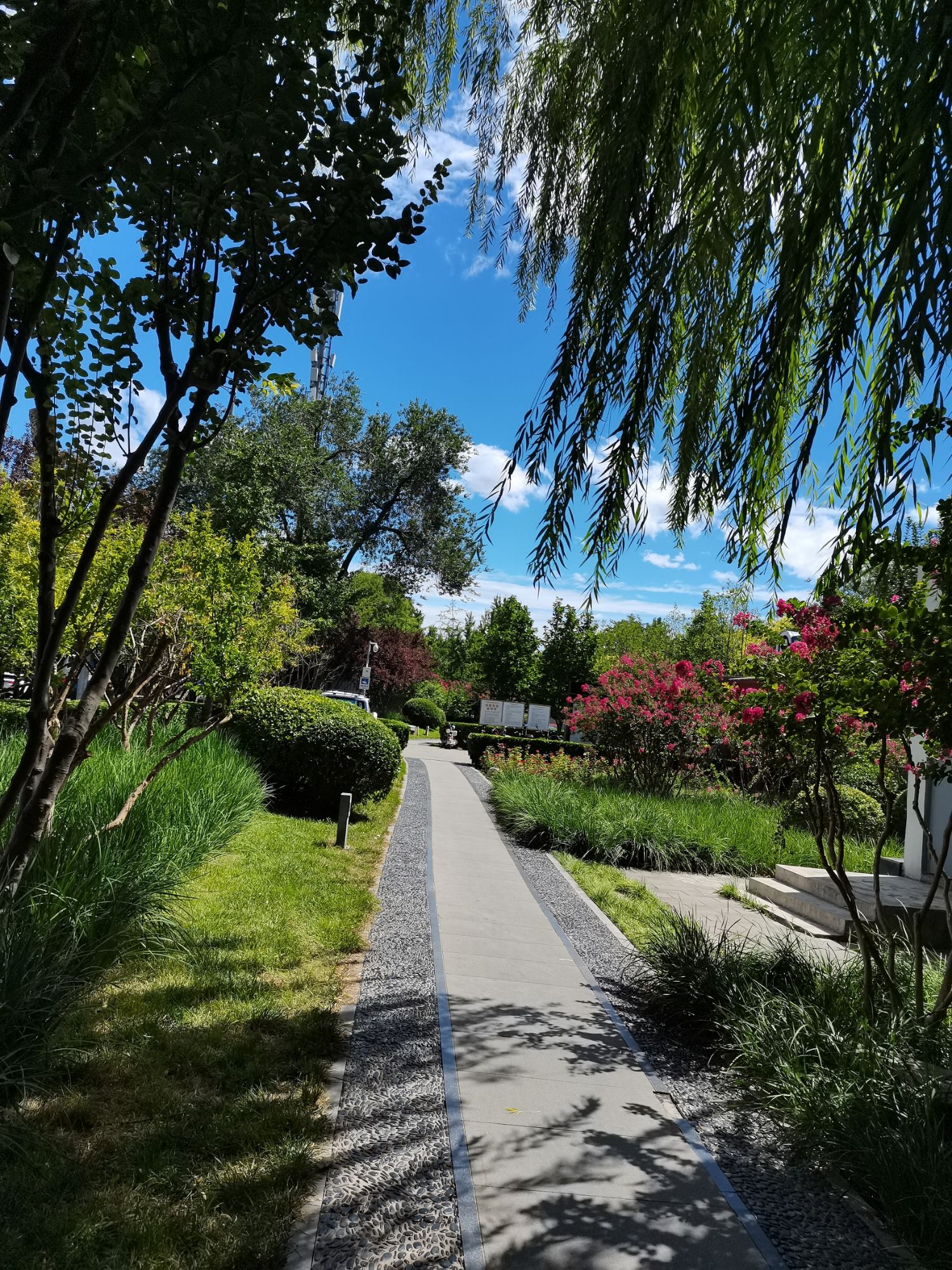 北二环城市公园旅行图片 3